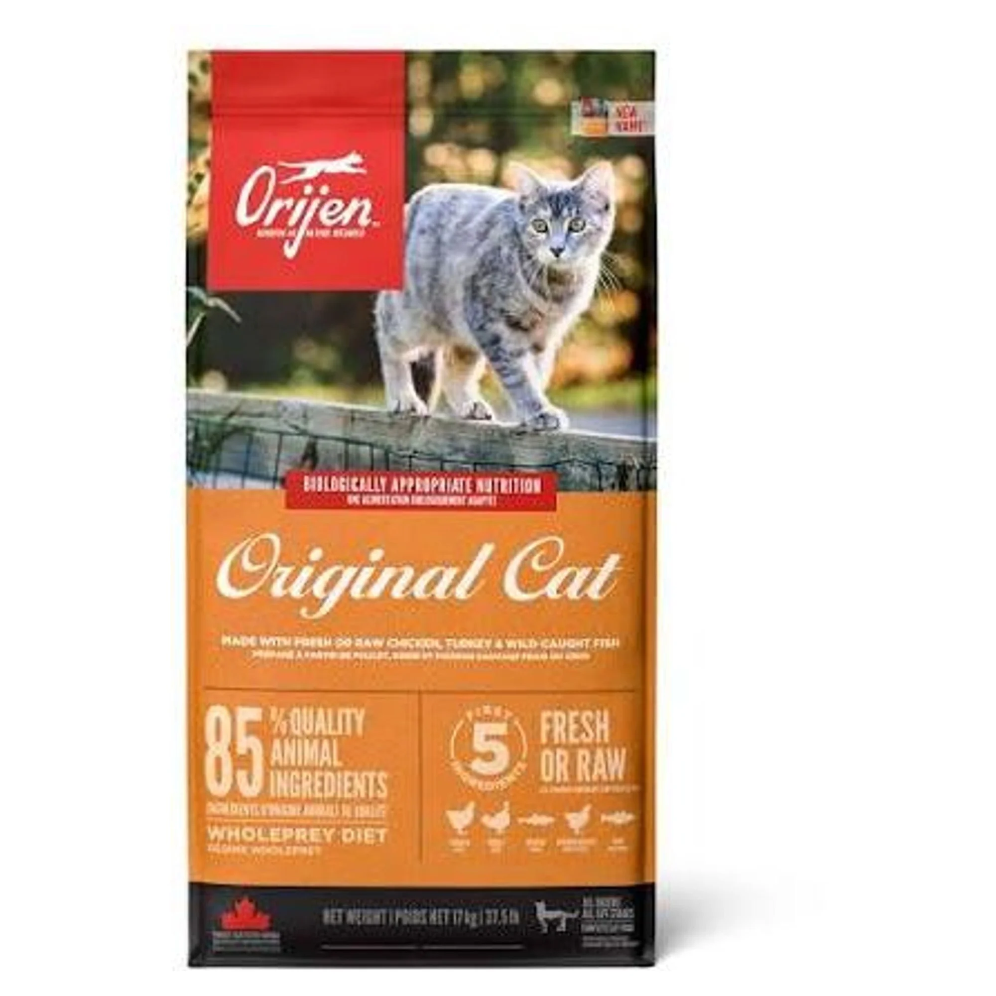 Orijen Original Cat Tahılsız Yavru ve Yetişkin Kedi Maması 17 KG