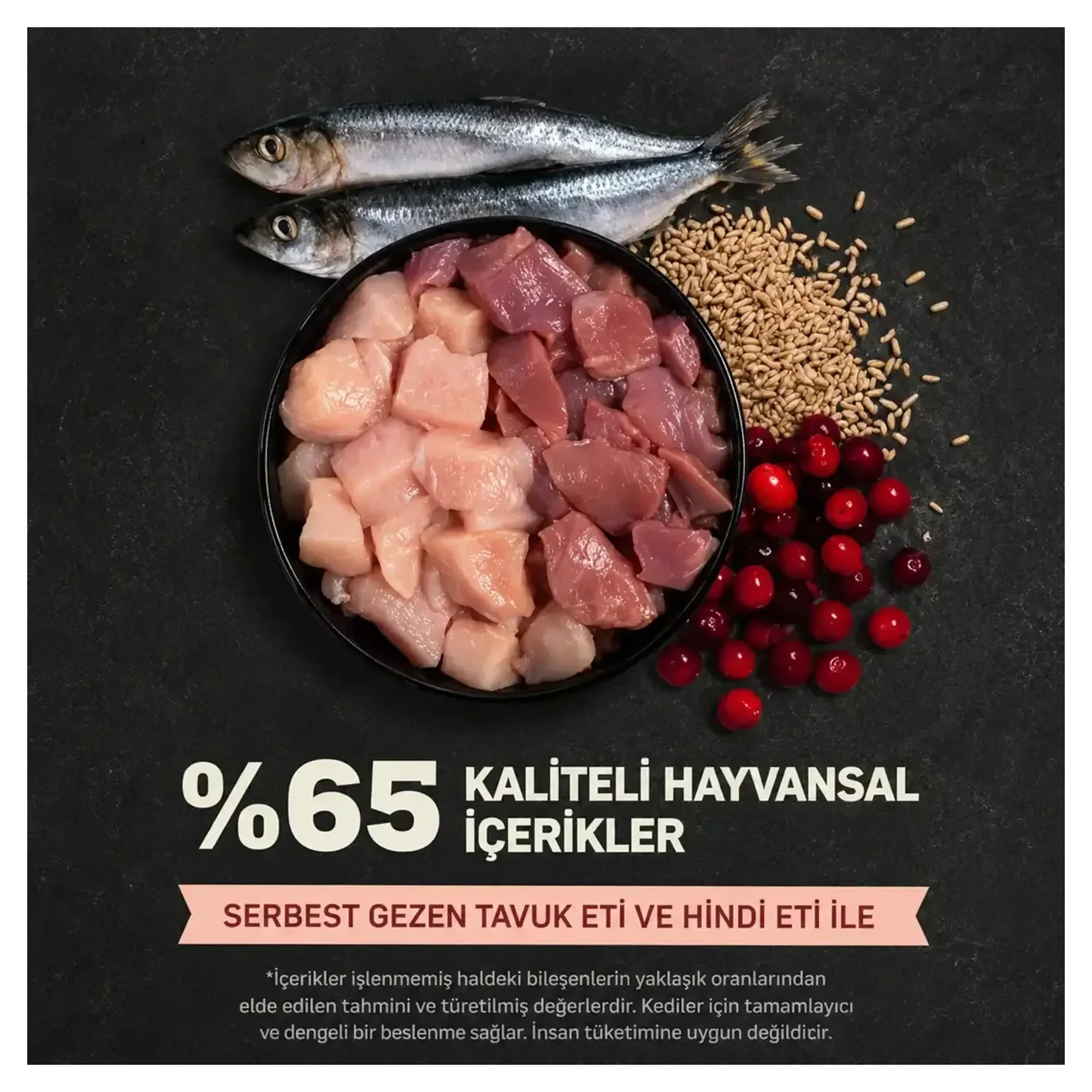 Acana Indoor Entree Hairball Control Tavuklu ve Ringa Balıklı Kısırlaştırılmış Kedi Maması 4.5 KG — 4.5 kg — Görsel 3