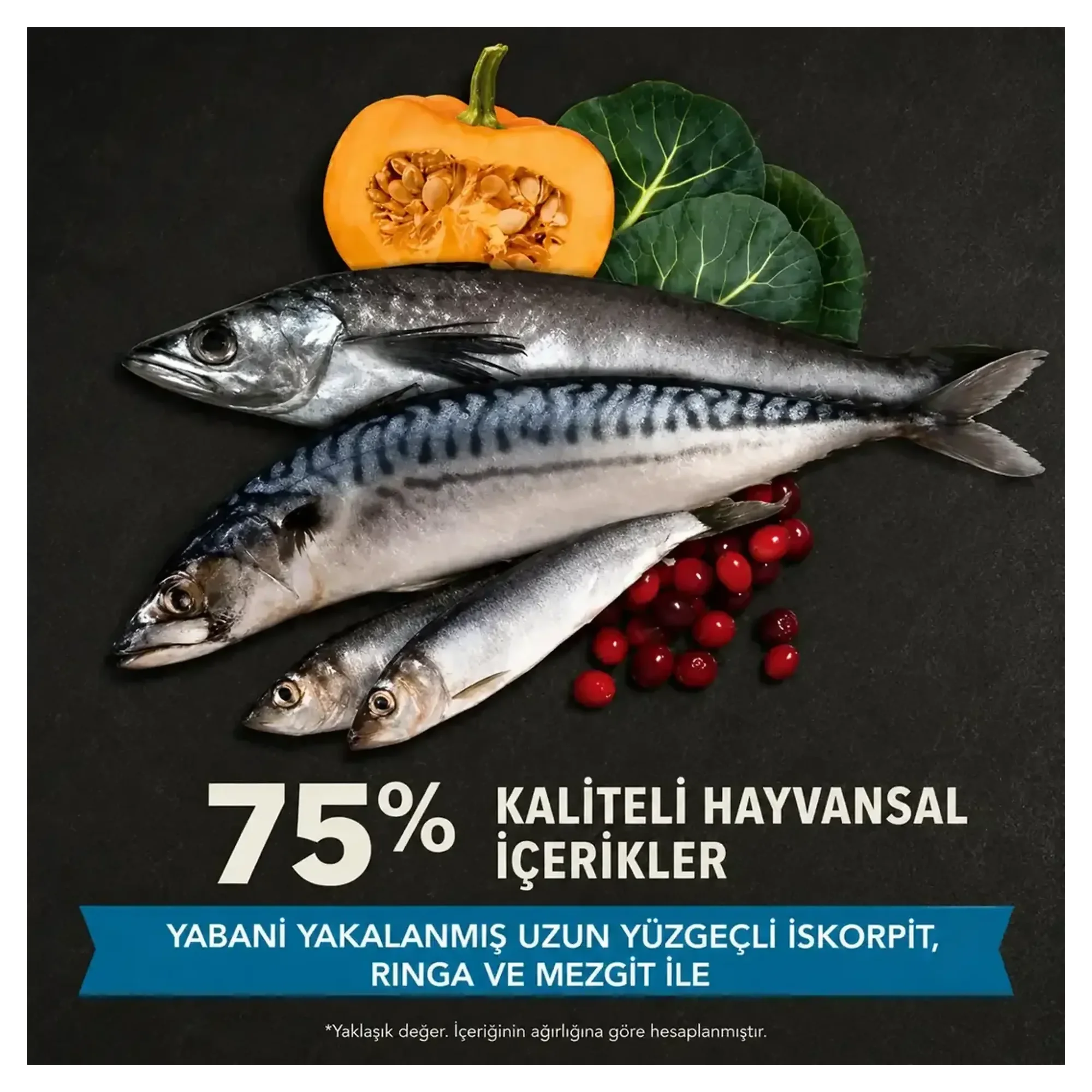 Acana Pacifica Balıklı Tahılsız Kedi Maması 4.5 KG — Normal — Görsel 3