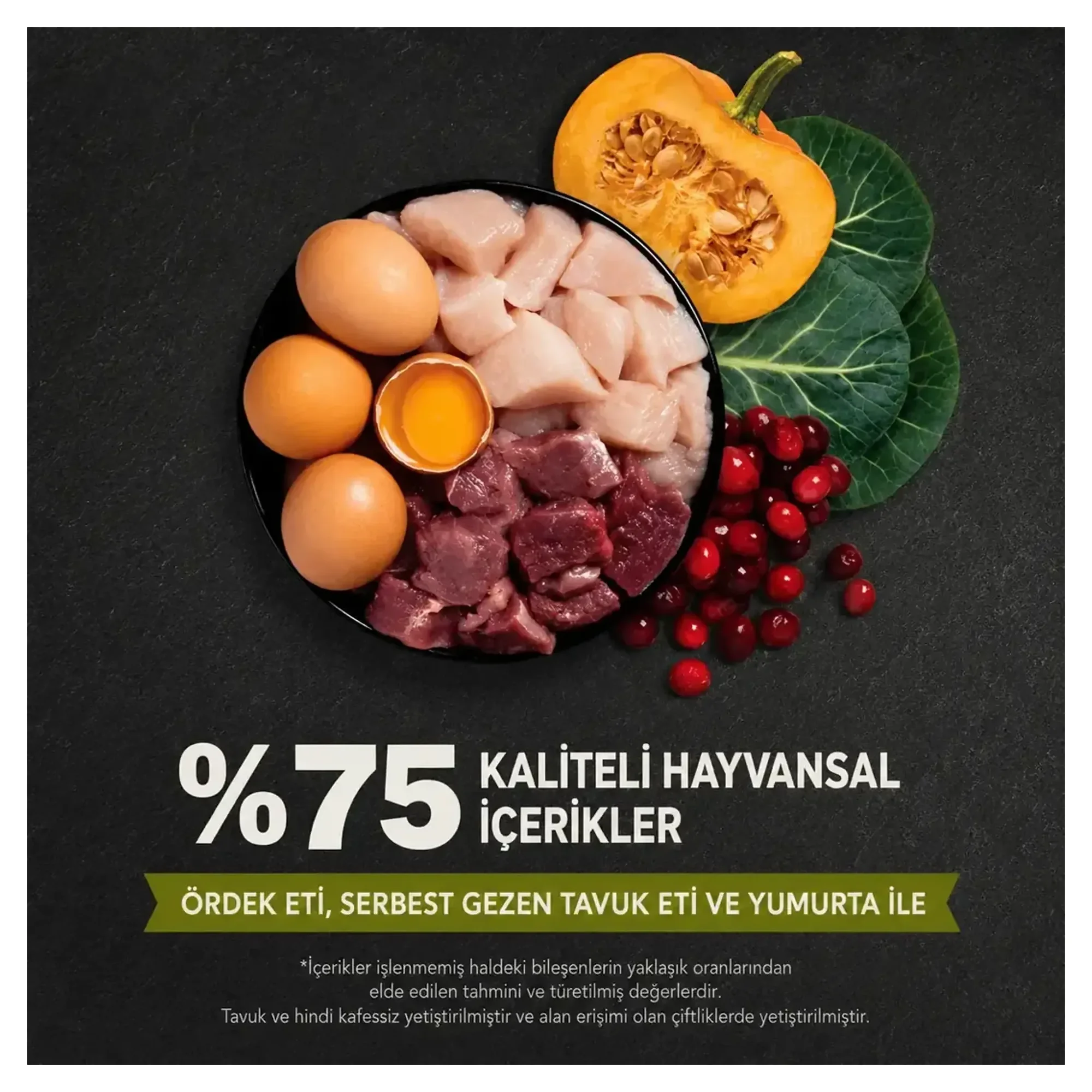Acana Grasslands Yüksek Proteinli Ördekli ve Tavuklu Tahılsız Kedi Maması 1.8 KG — Normal, 1.8 kg — Görsel 4