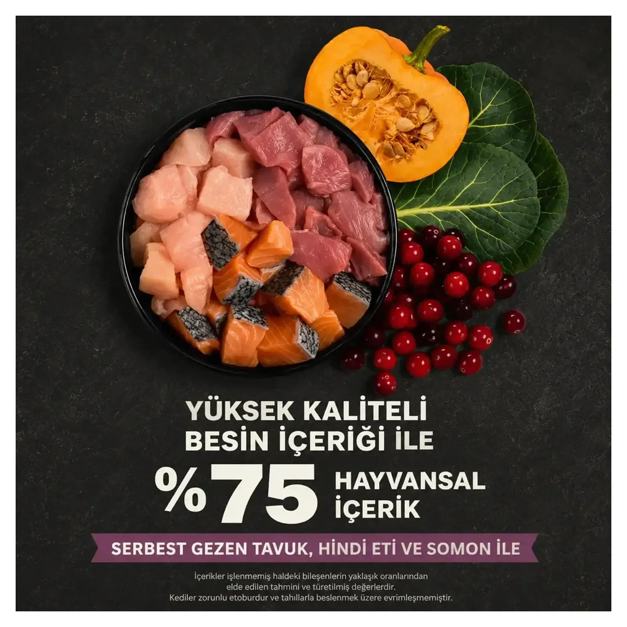 Acana Kitten Yüksek Proteinli Tahılsız Yavru Kedi Maması 1.8 KG — Normal — Görsel 3