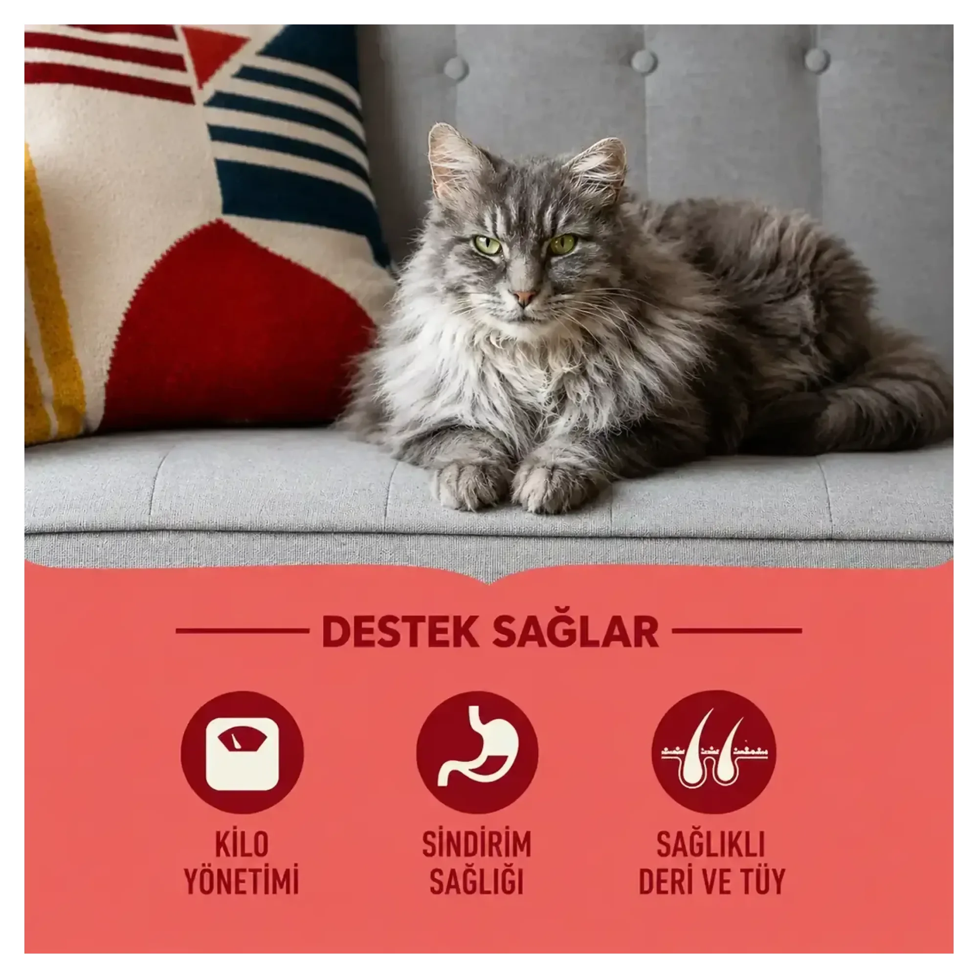Acana Indoor Yüksek Proteinli Tavuklu ve Balıklı Yetişkin Kedi Maması 1.8 KG — Normal, 1.8 kg — Görsel 2