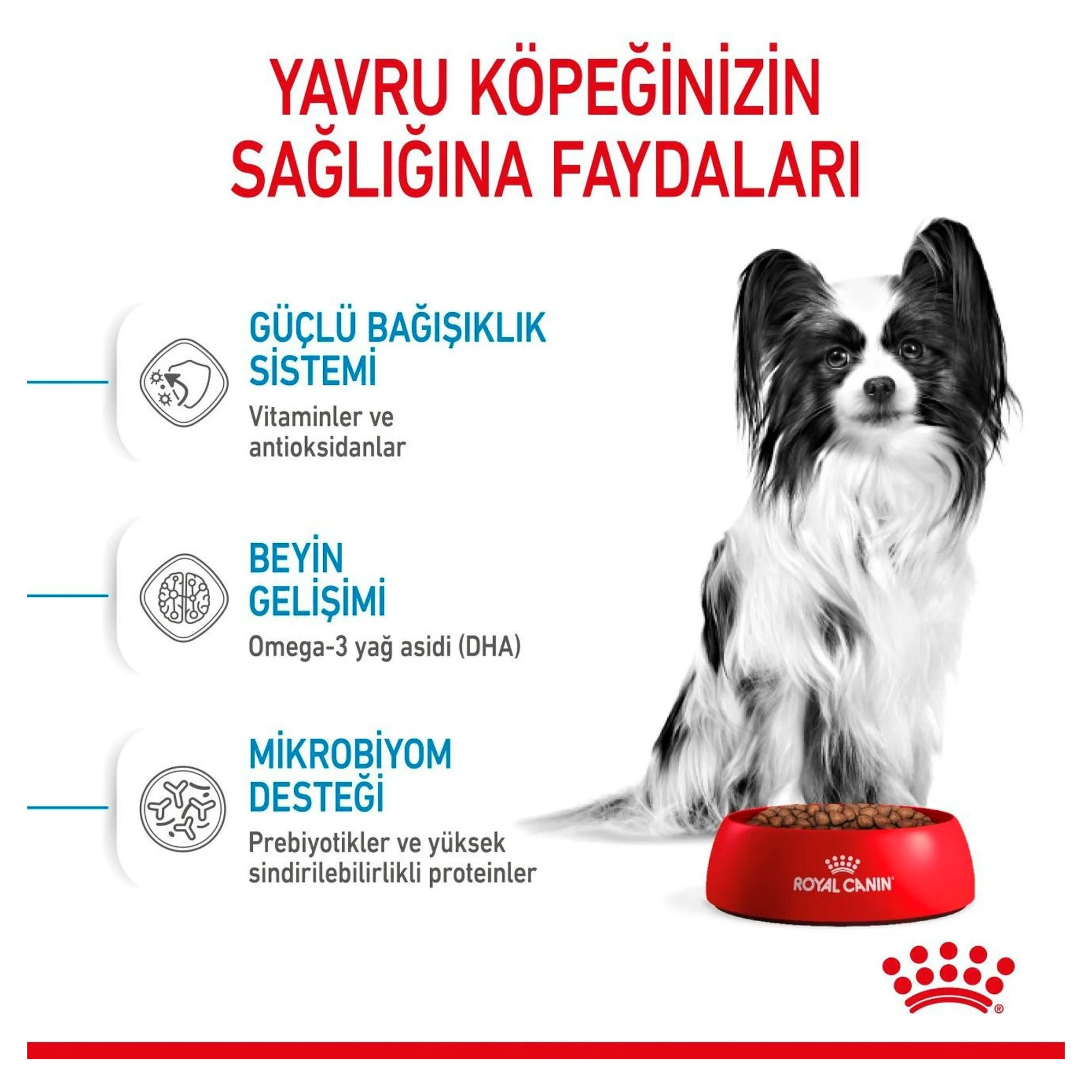 Royal Canin X-Small Küçük Irk Yavru Köpek Maması 500 G — Normal, 565 g — Görsel 5