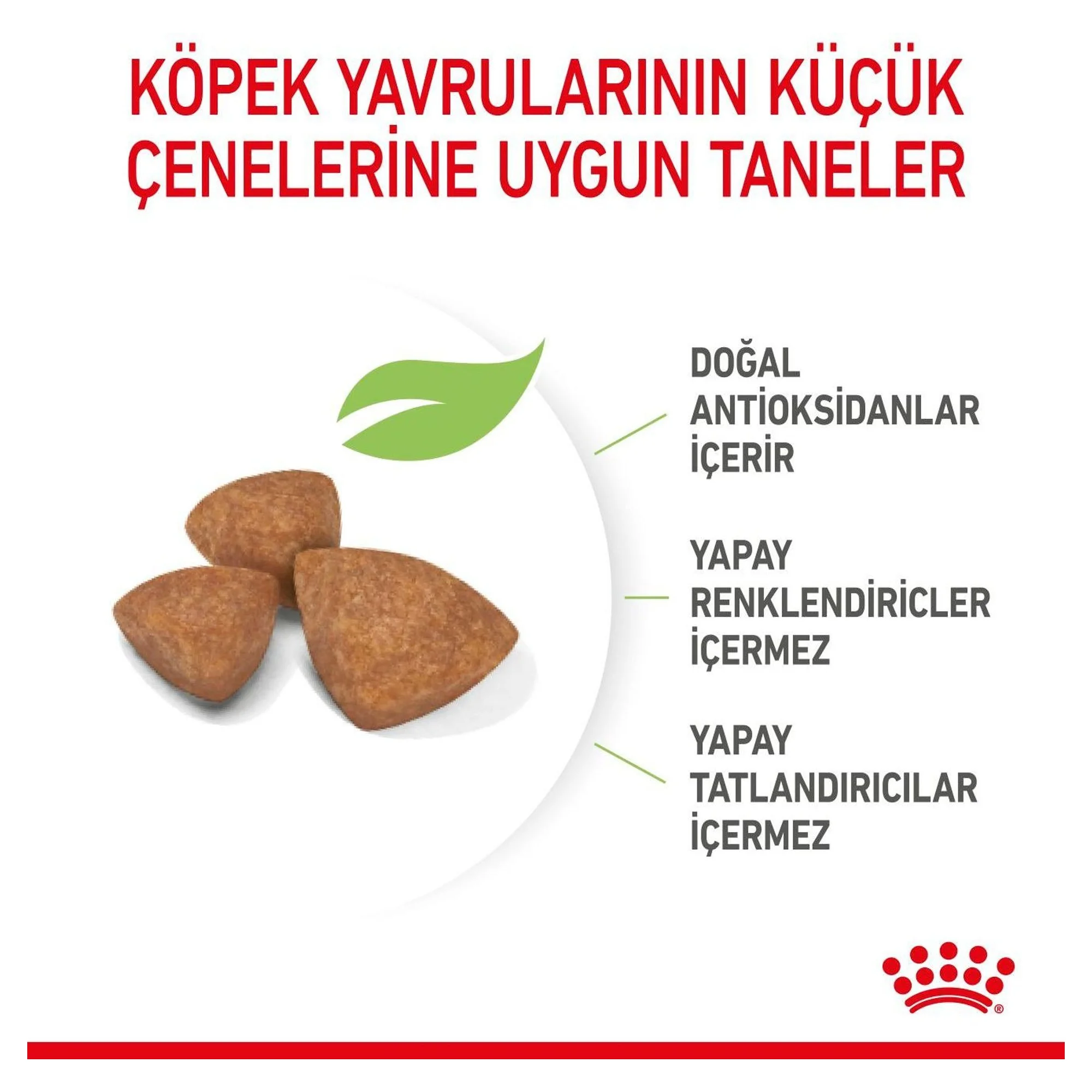 Royal Canin X-Small Küçük Irk Yavru Köpek Maması 500 G — Normal, 565 g — Görsel 6