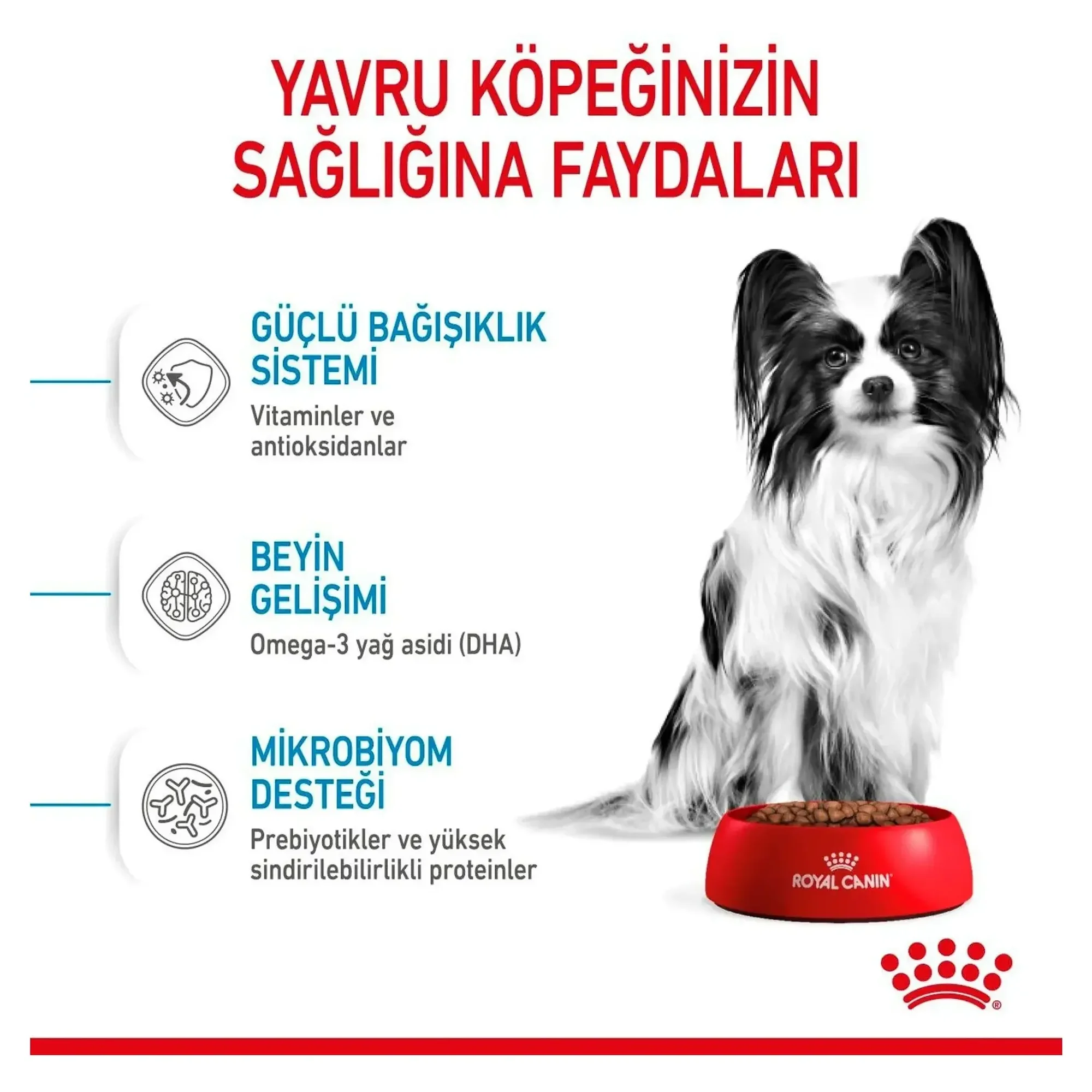 Royal Canin Royal Canin X-Small Küçük Irk Yavru Köpek Maması 3 KG — Normal, 3.1 kg — Görsel 5