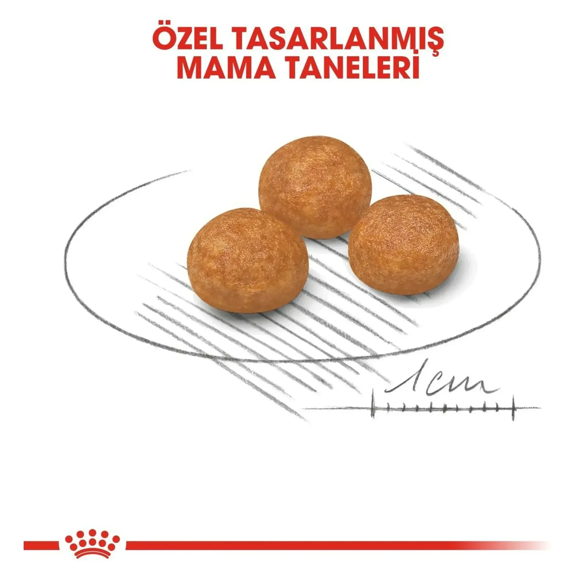 Royal Canin Royal Canin X-Small Küçük Irk Yetişkin Köpek Maması 1.5 KG — Normal, 1.6 kg — Görsel 4