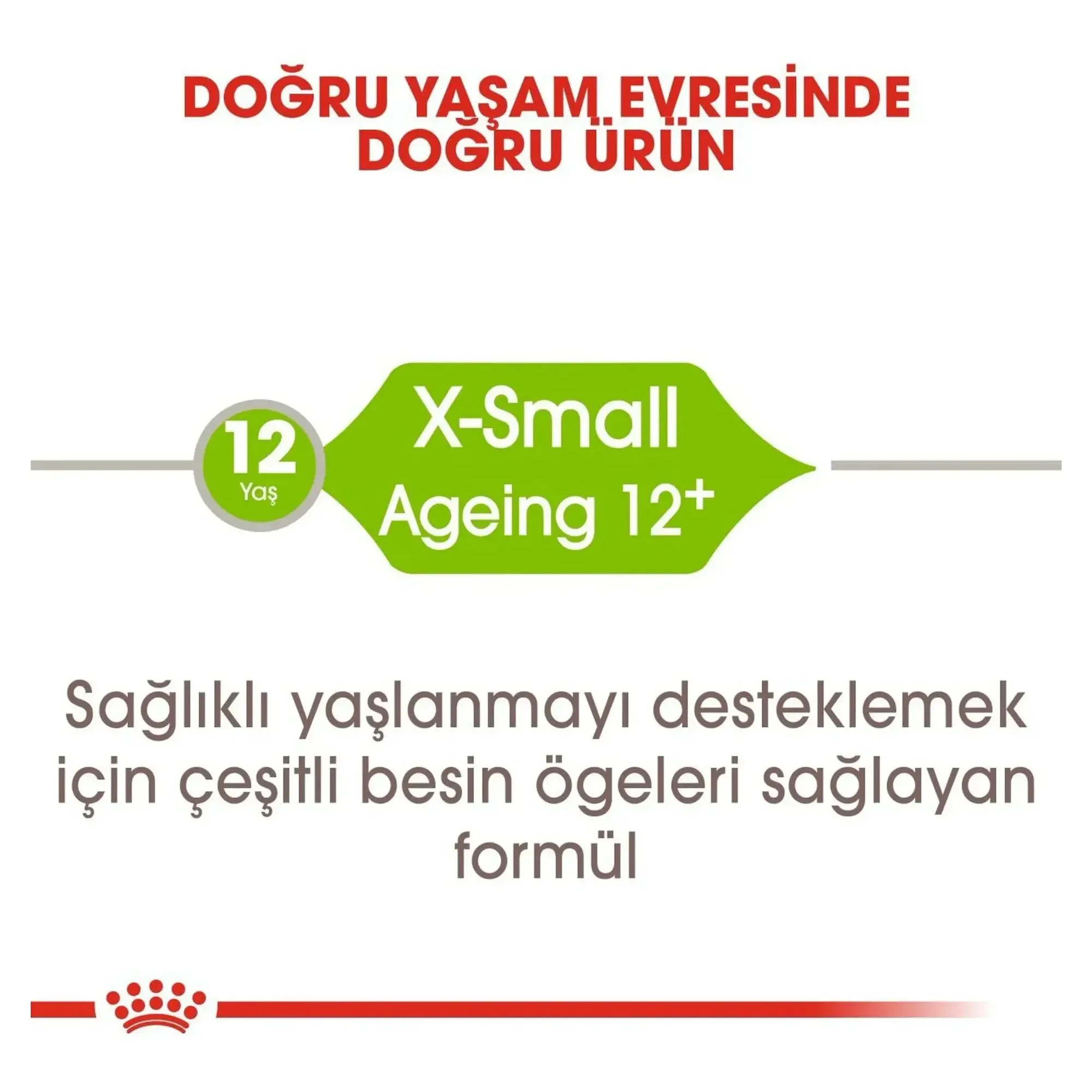 Royal Canin Royal Canin X-Small Ageing 12+ Yaş Küçük Irk Yaşlı Köpek Maması 1.5 KG — Normal, 1.6 kg — Görsel 4