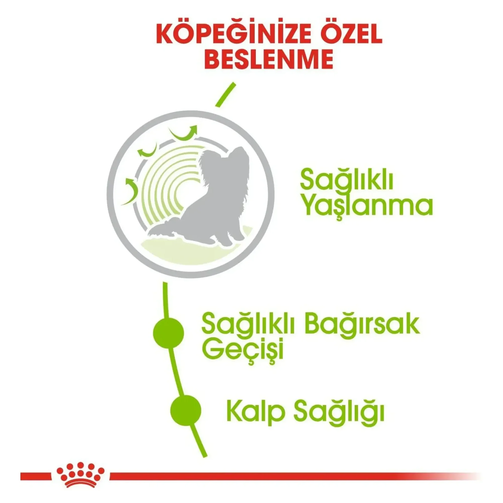 Royal Canin Royal Canin X-Small Ageing 12+ Yaş Küçük Irk Yaşlı Köpek Maması 1.5 KG — Normal, 1.6 kg — Görsel 5