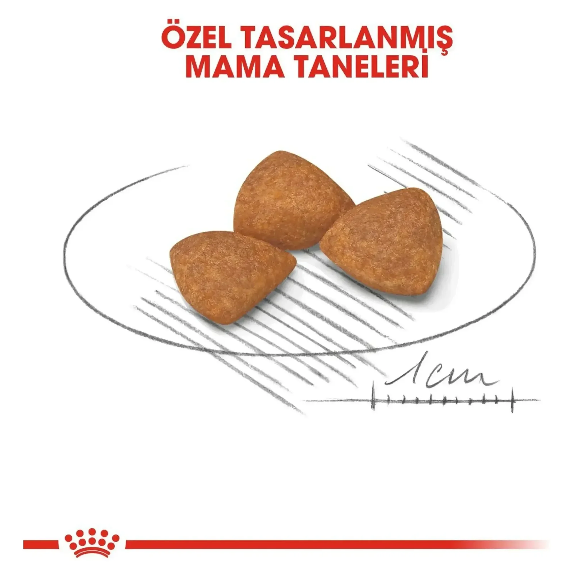 Royal Canin Royal Canin X-Small Ageing 12+ Yaş Küçük Irk Yaşlı Köpek Maması 1.5 KG — Normal, 1.6 kg — Görsel 6