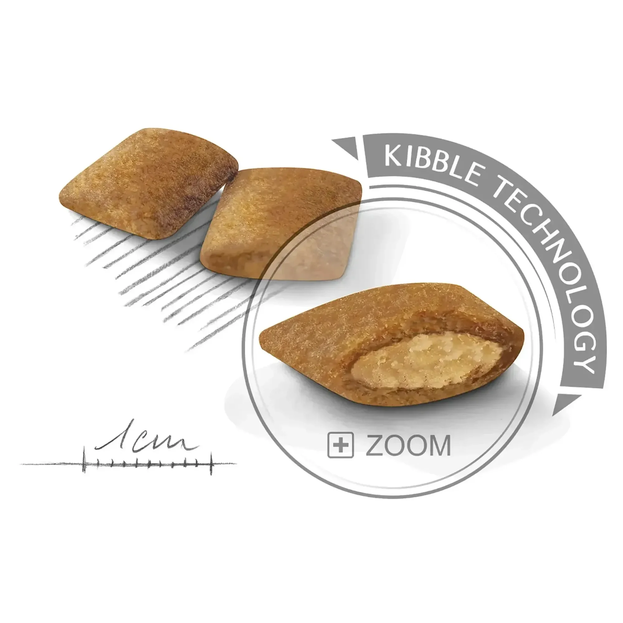 Royal Canin Royal Canin Exigent Mini Yetişkin Köpek Maması 3 KG — Normal, 3.1 kg — Görsel 2