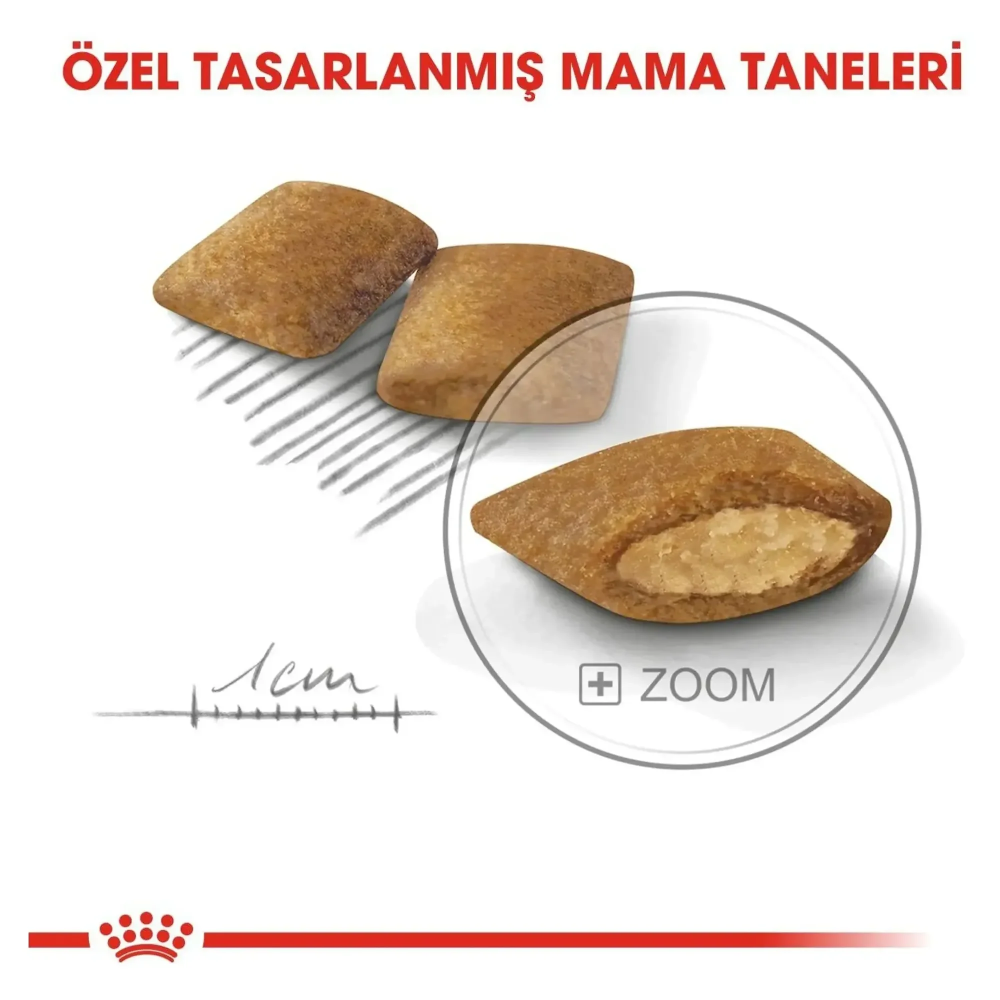 Royal Canin Royal Canin Exigent Mini Yetişkin Köpek Maması 3 KG — Normal, 3.1 kg — Görsel 5