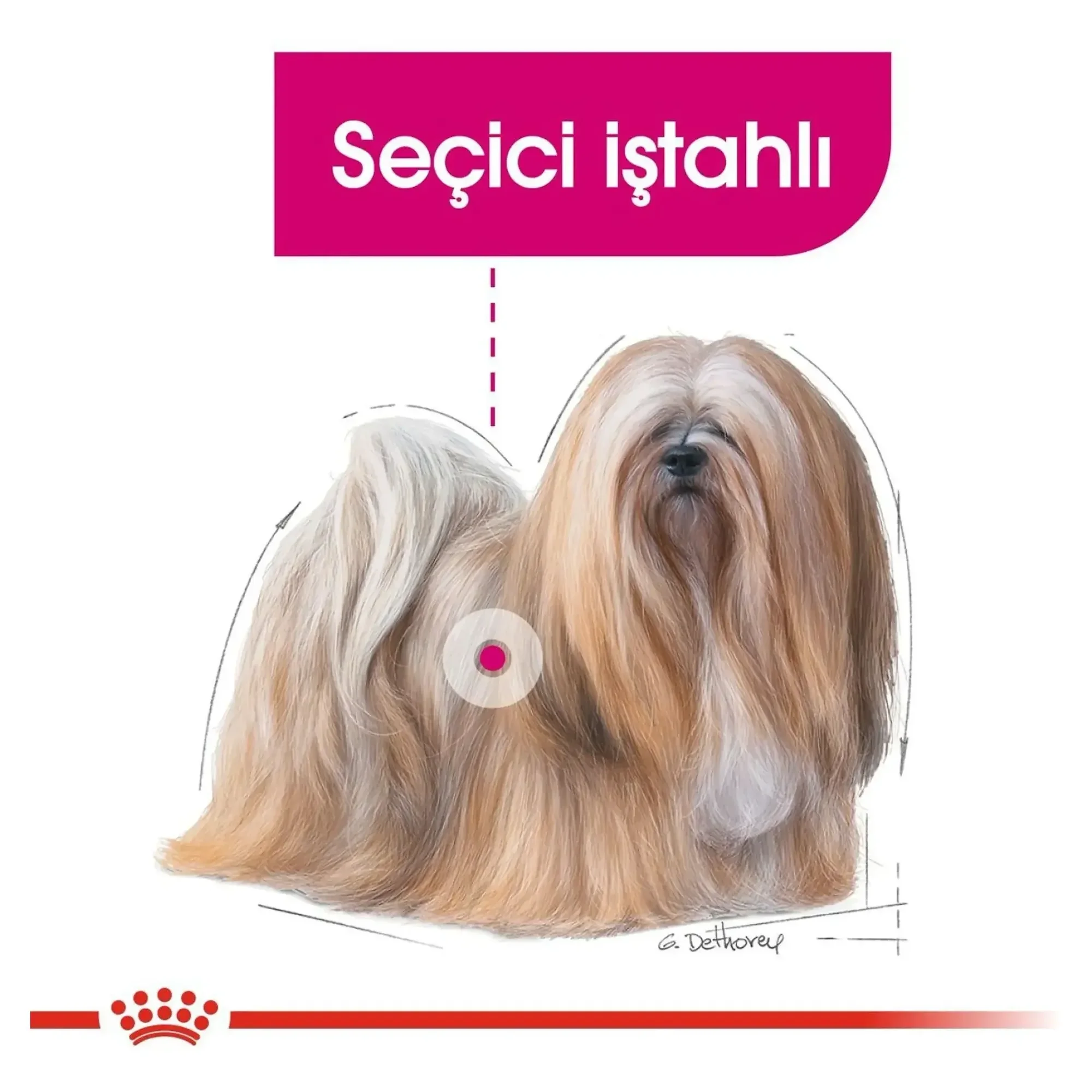 Royal Canin Royal Canin Exigent Mini Yetişkin Köpek Maması 3 KG — Normal, 3.1 kg — Görsel 6