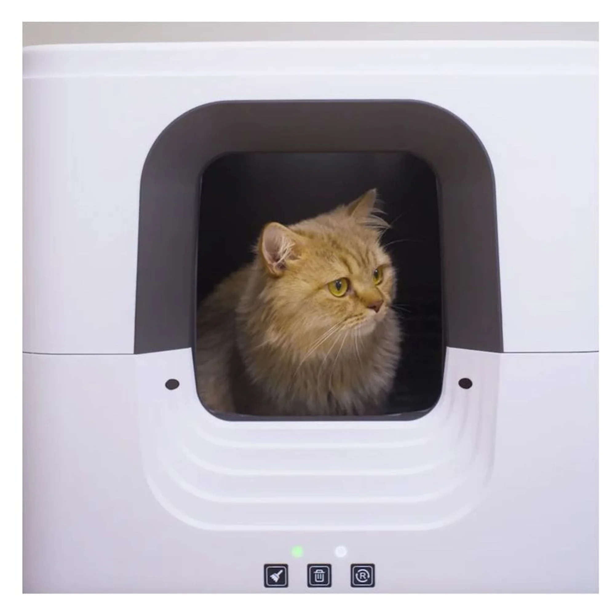 Aclium Aclıum Otomatik Kedi Tuvaleti 55x57x65 CM — Kum ve Tuvalet Ürünleri — Görsel 4