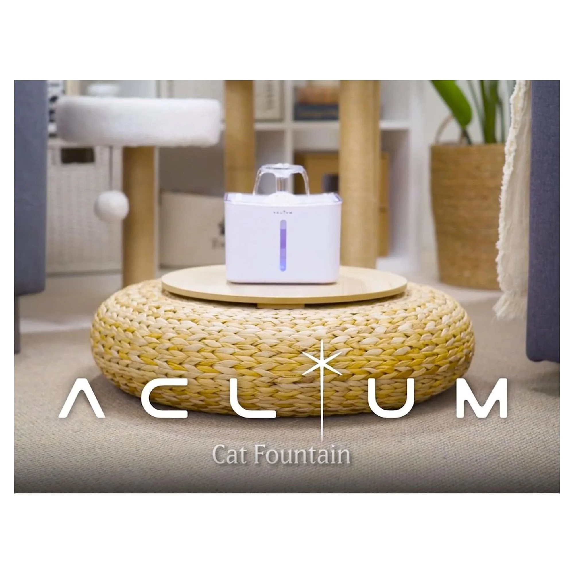 Aclium Aclıum Kedi Su Sebili — Su Kapları, 450 g — Görsel 4