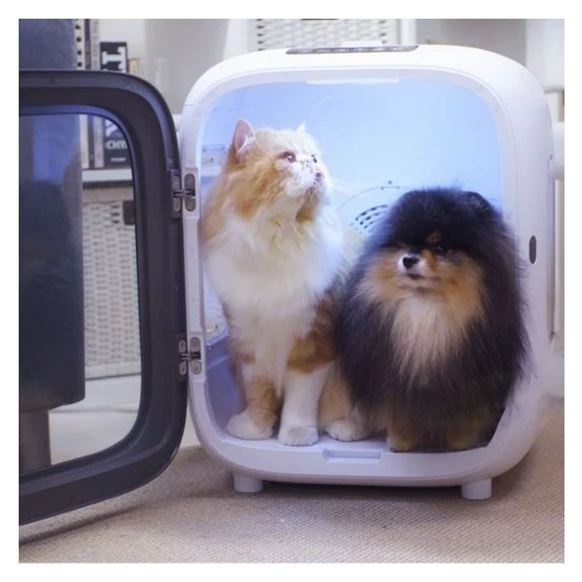 Aclium Aclıum Kedi ve Köpek Kurutucu 35 W — Hijyen & Temizlik — Görsel 2