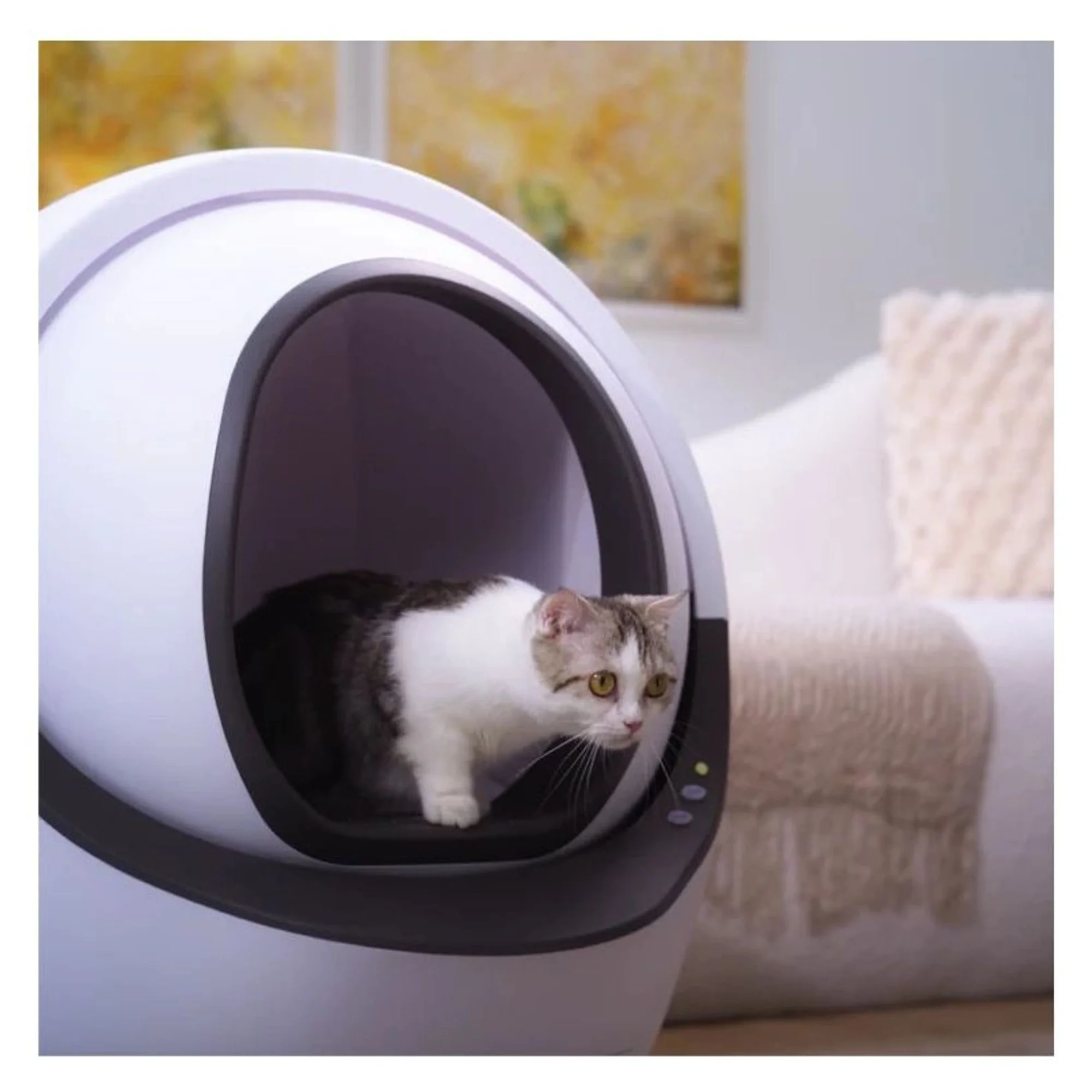 Aclium Aclıum Otomatik Kedi Tuvaleti 64x64x72 CM — Kedi Tuvalet Ürünleri — Görsel 3