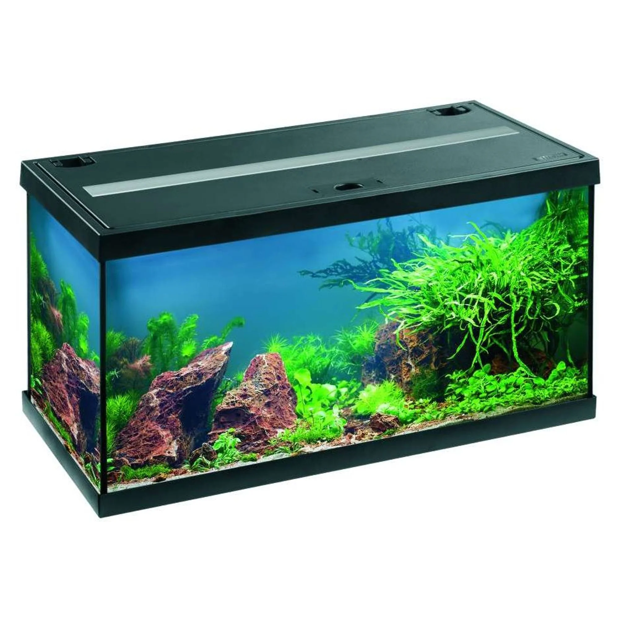Eheim Aquastar 54 Akvaryum Başlangıç Seti Siyah (LED Aydınlatma/filtre/filtre medyası/ısıtıcı)