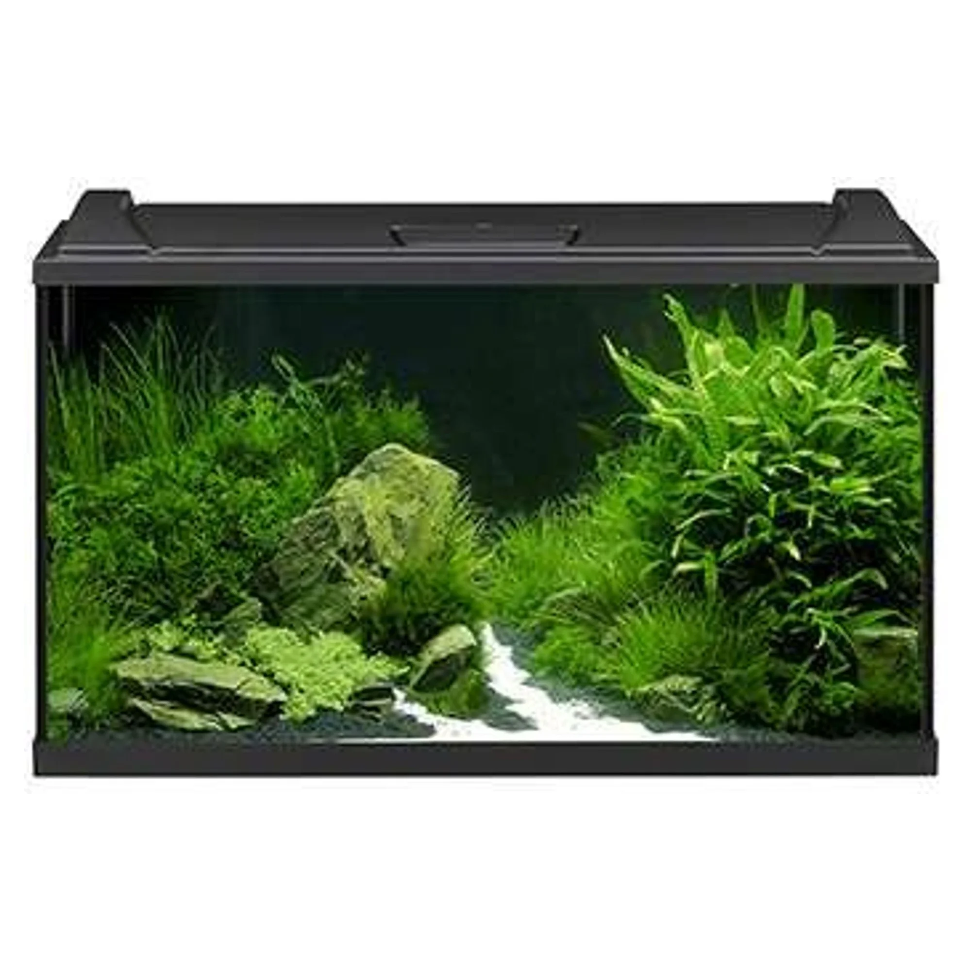 Eheim Aquapro 126 Akvaryum Başlangıç Seti Sİyah (LED Aydınlatma/filtre/filtre medyası/ısıtıcı) — İthal Akvaryumlar — Görsel 2