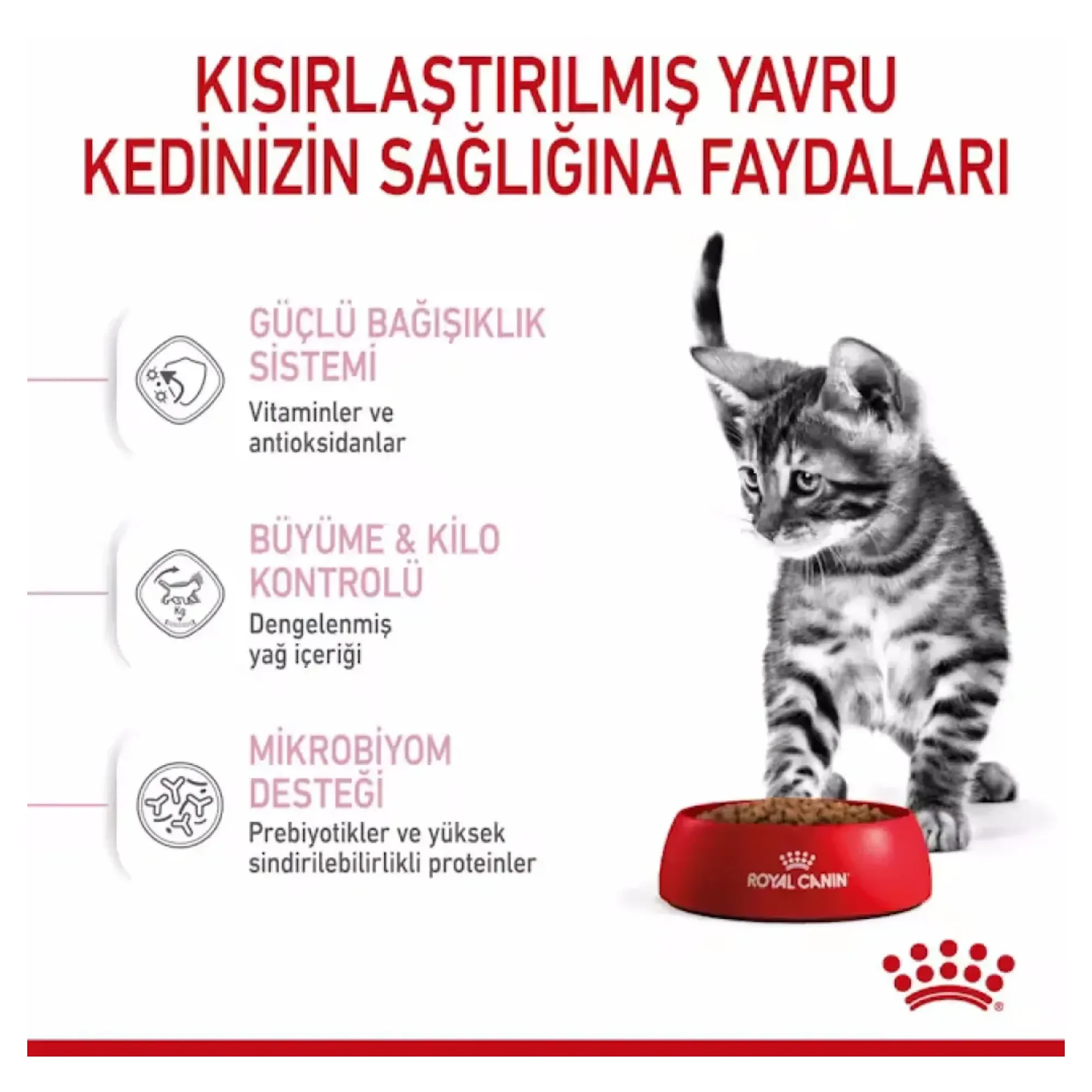 Royal Canin Royal Canin Kitten Gravy Sterilised Kısırlaştırılmış Yavru Kedi Konservesi 85 G — 90 g — Görsel 2