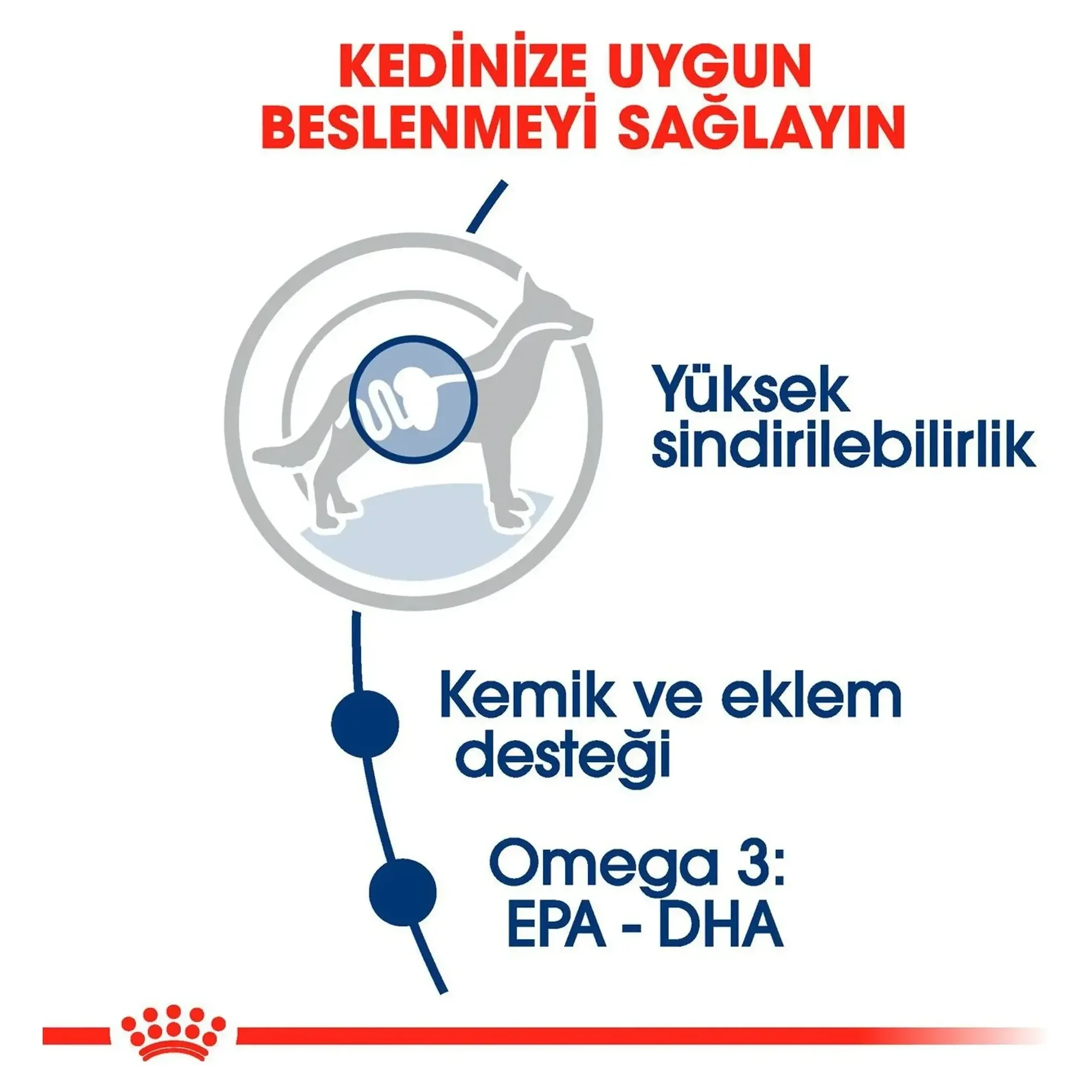 Royal Canin Royal Canin Maxi Adult  Yetişkin Köpek Pouch Konserve 140 G — Normal, 160 g — Görsel 3