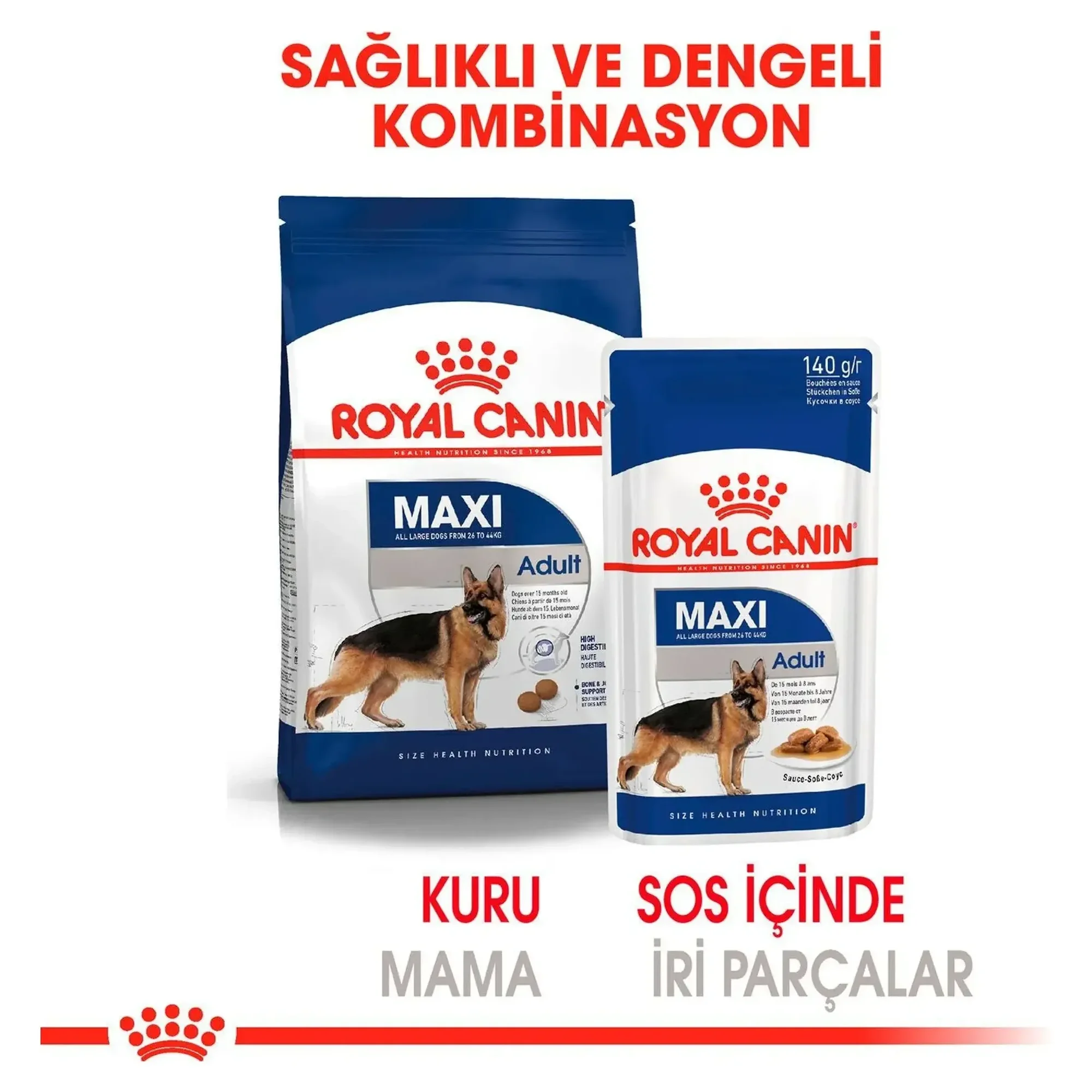 Royal Canin Royal Canin Maxi Adult  Yetişkin Köpek Pouch Konserve 140 G — Normal, 160 g — Görsel 5
