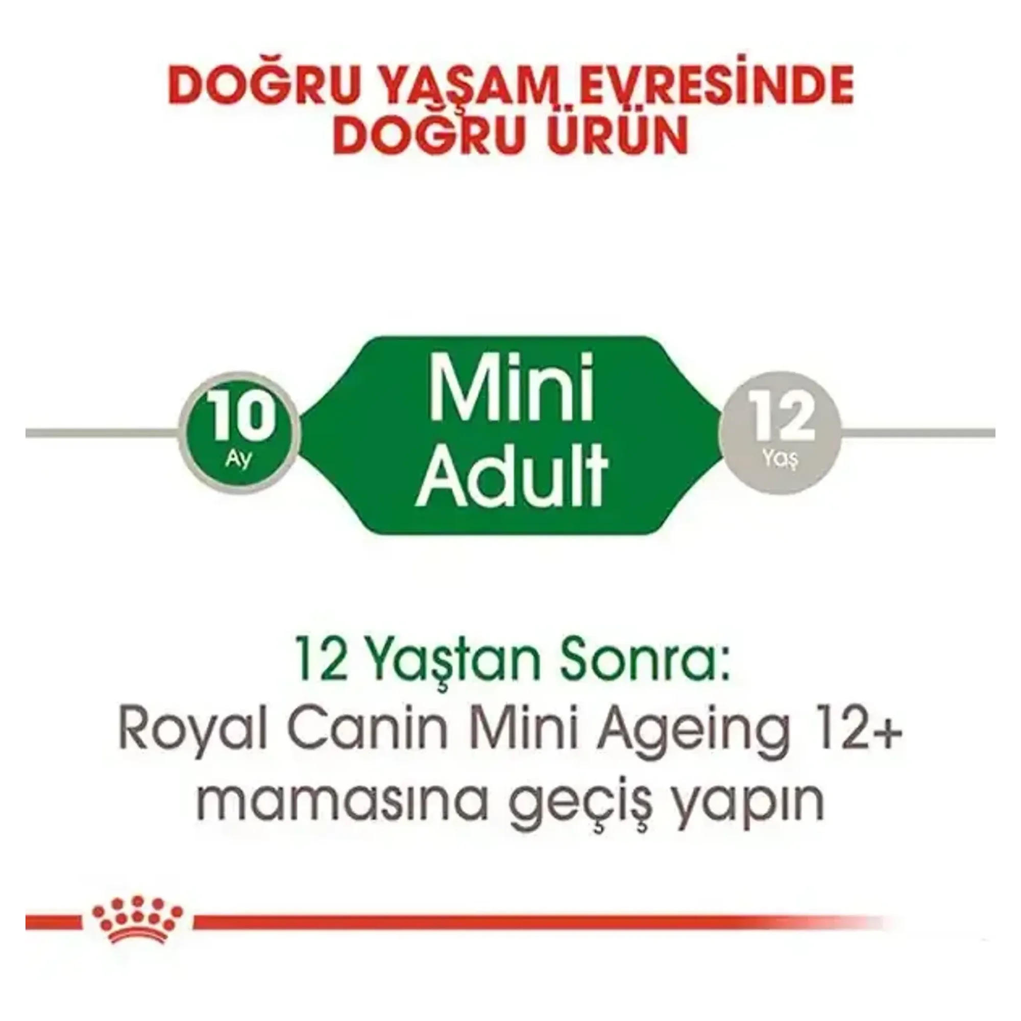 Royal Canin Royal Canin Mini Adult Küçük Irk Yetişkin Köpek Maması 85 G — Normal, 90 g — Görsel 2