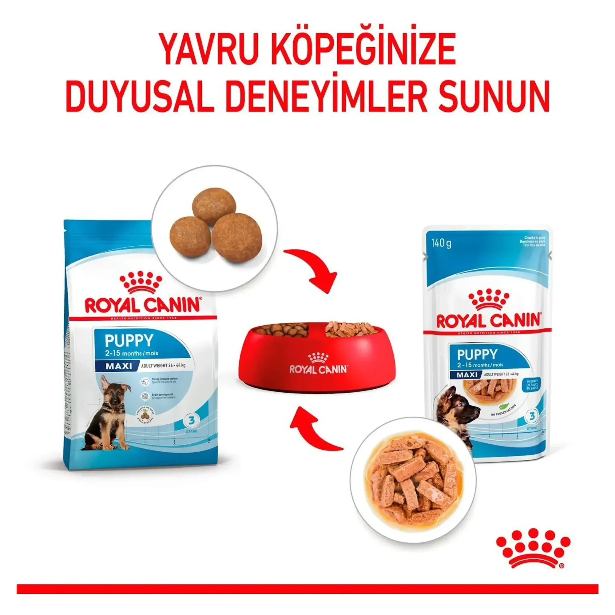 Royal Canin Royal Canin Sos İçinde Büyük Irk Yavru Köpek Konservesi 140 G — Normal, 150 g — Görsel 5