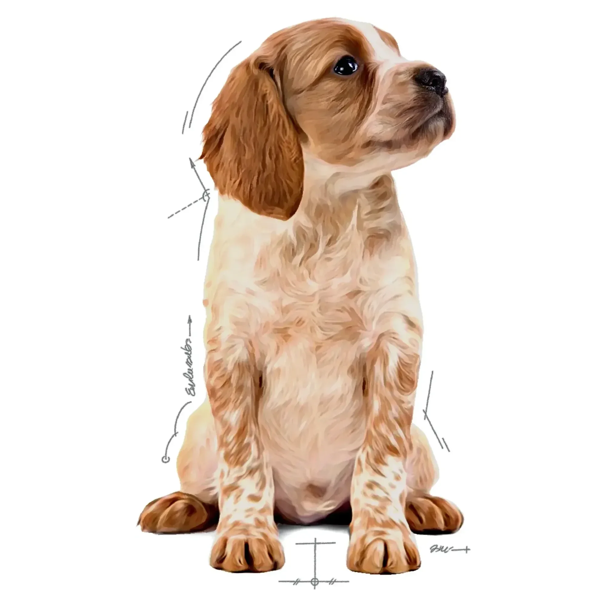 Royal Canin Royal Canin Sos İçinde Orta Irk Yavru Köpek Konservesi 140 G — Normal, 150 g — Görsel 3