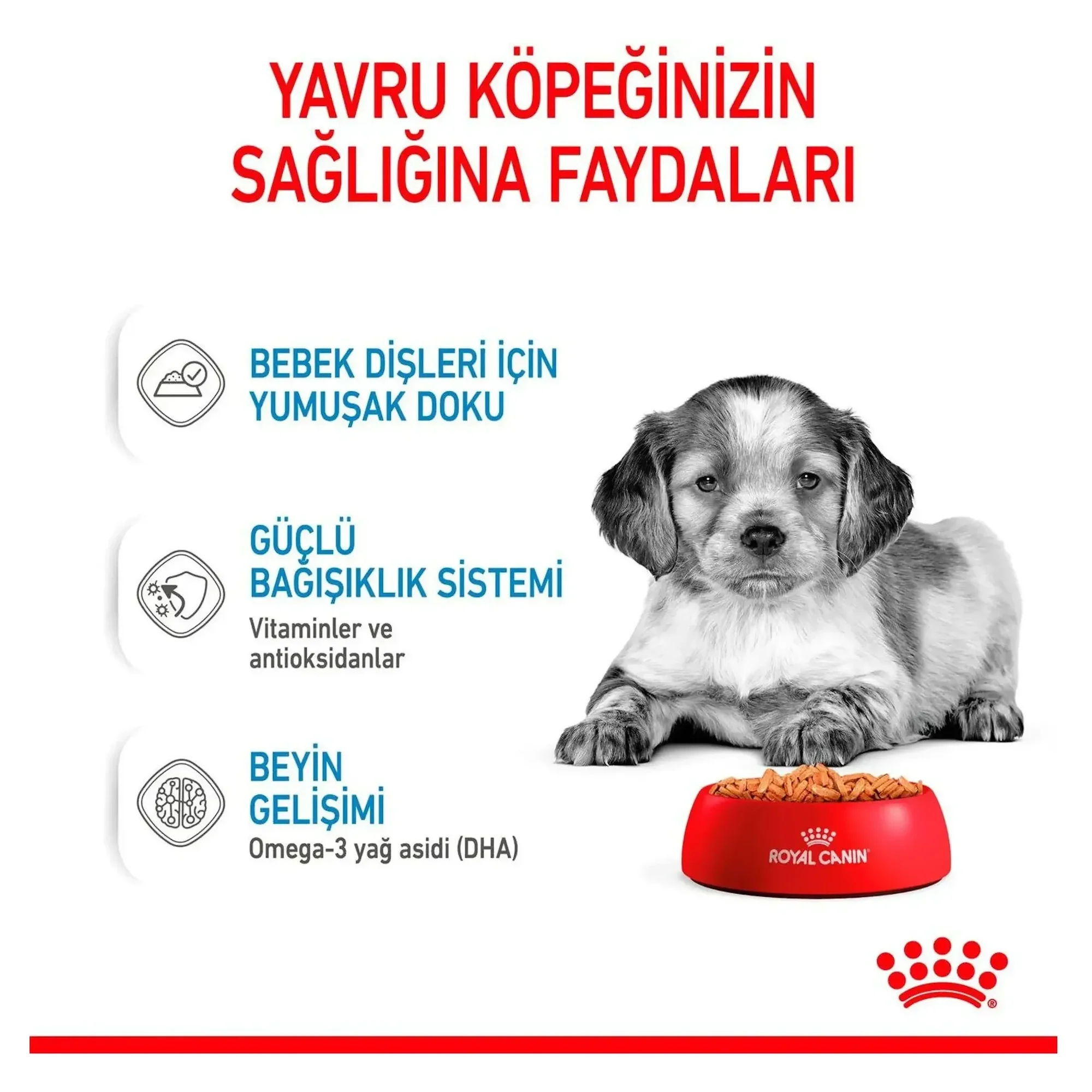 Royal Canin Royal Canin Sos İçinde Orta Irk Yavru Köpek Konservesi 140 G — Normal, 150 g — Görsel 4
