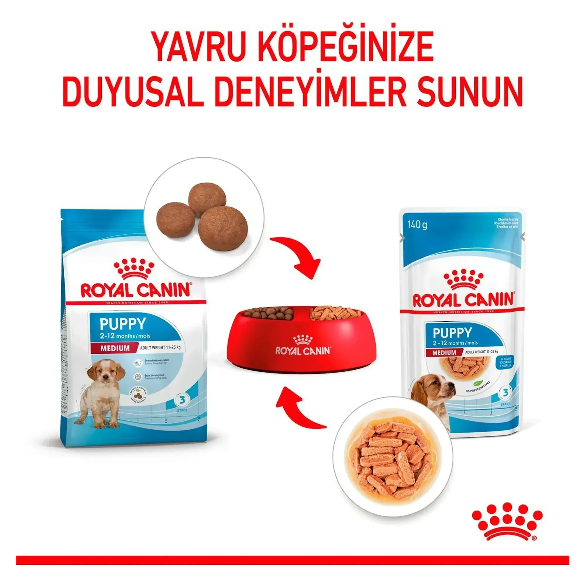 Royal Canin Royal Canin Sos İçinde Orta Irk Yavru Köpek Konservesi 140 G — Normal, 150 g — Görsel 5