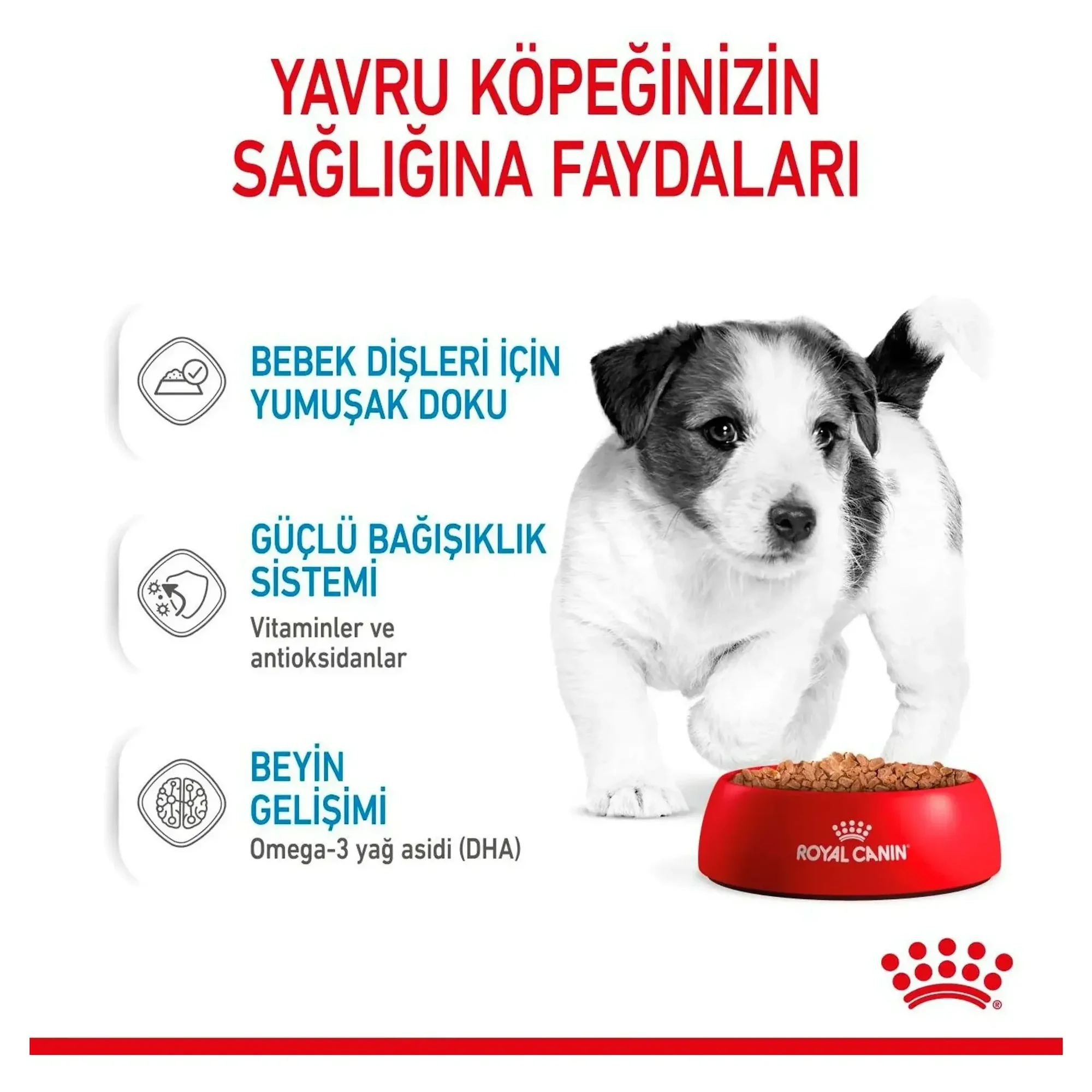 Royal Canin Royal Canin Küçük Irk Yavru Köpek Konservesi 85 G — Normal, 90 g — Görsel 4