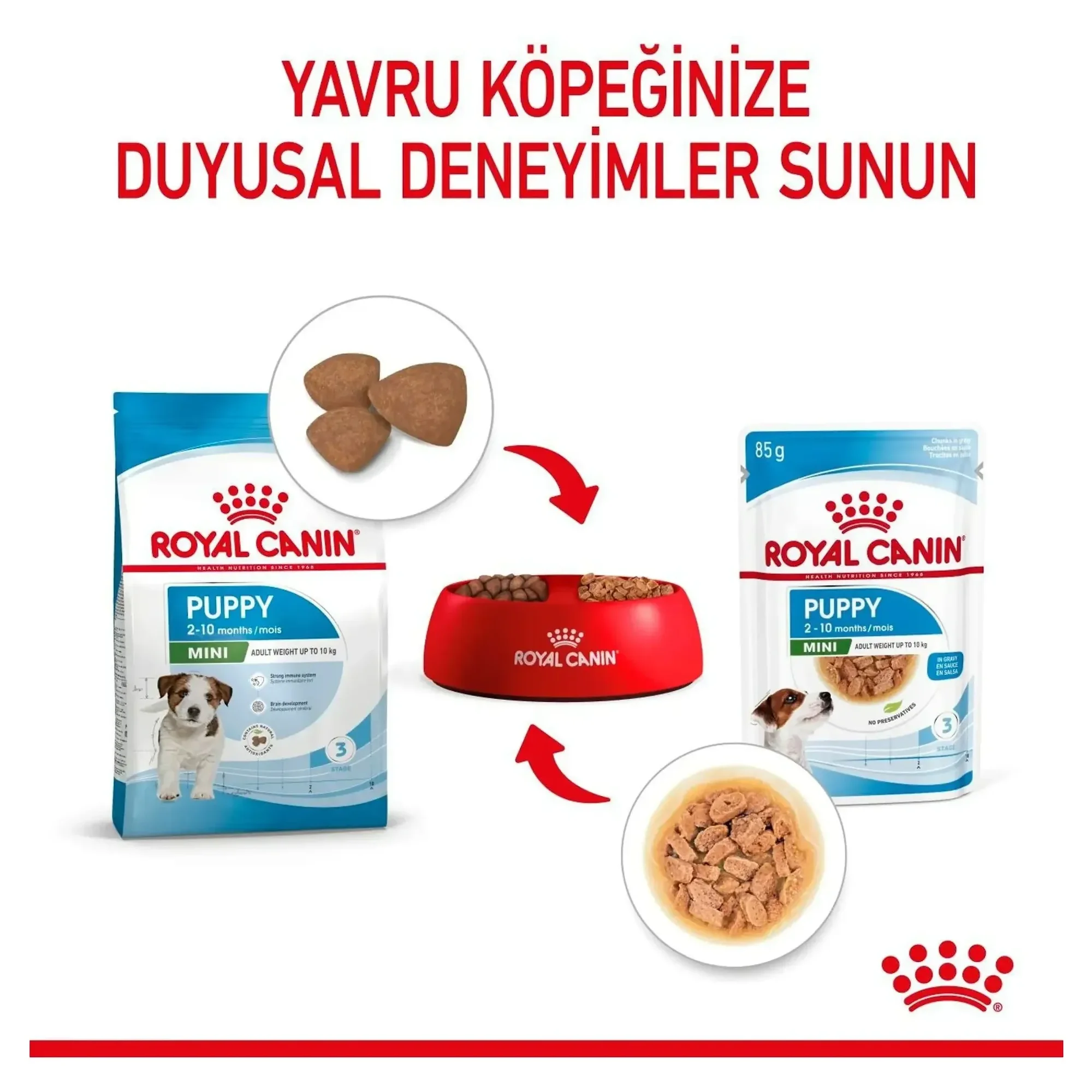 Royal Canin Royal Canin Küçük Irk Yavru Köpek Konservesi 85 G — Normal, 90 g — Görsel 6