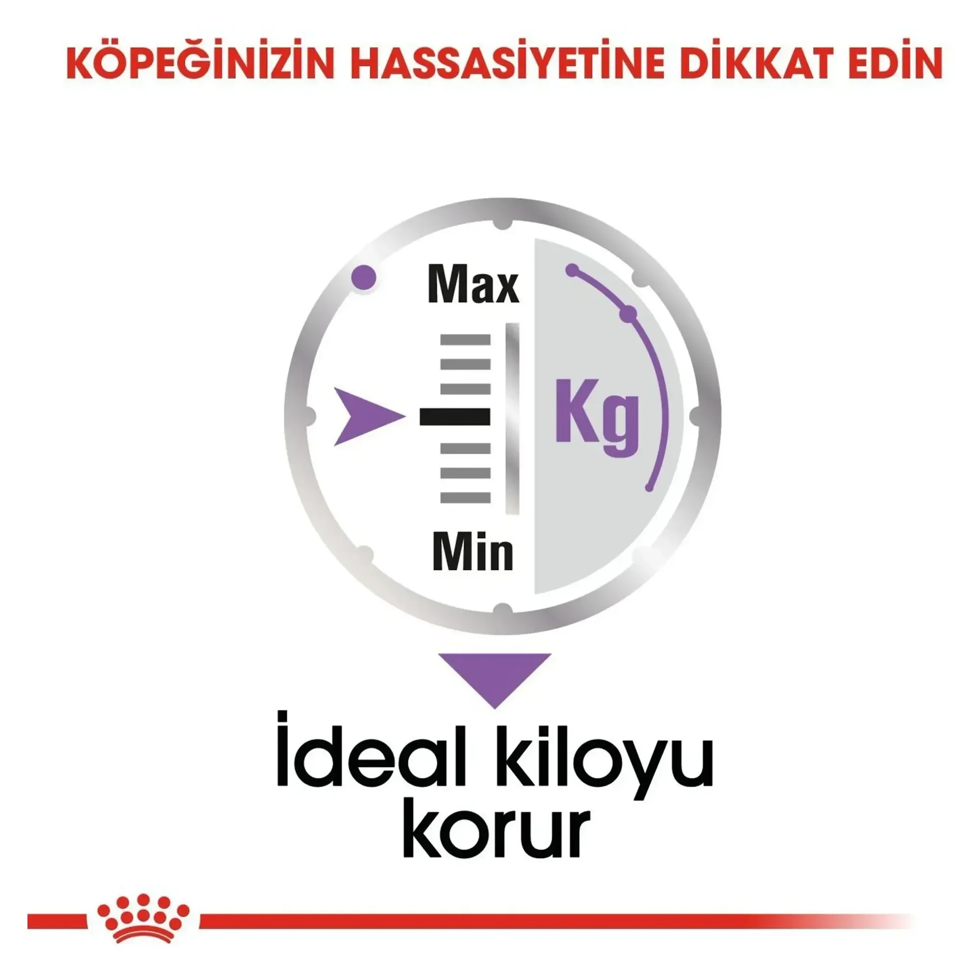 Royal Canin Royal Canin CCN Sterilised Kısırlaştırılmış Yetişkin Köpek Konservesi 85 G — 90 g — Görsel 5
