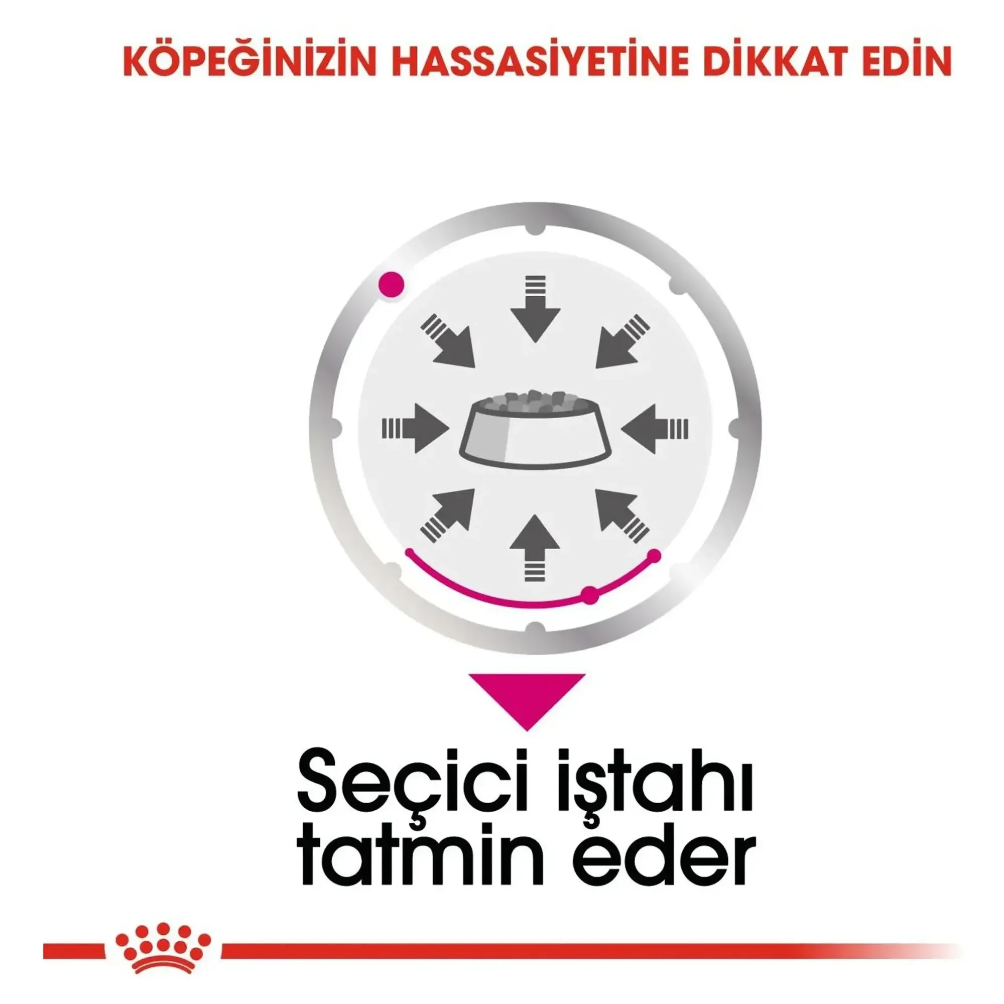 Royal Canin Royal Canin Exigent Seçici Köpeklere Özel Yetişkin Köpek Konservesi 85 G — Normal, 90 g — Görsel 5
