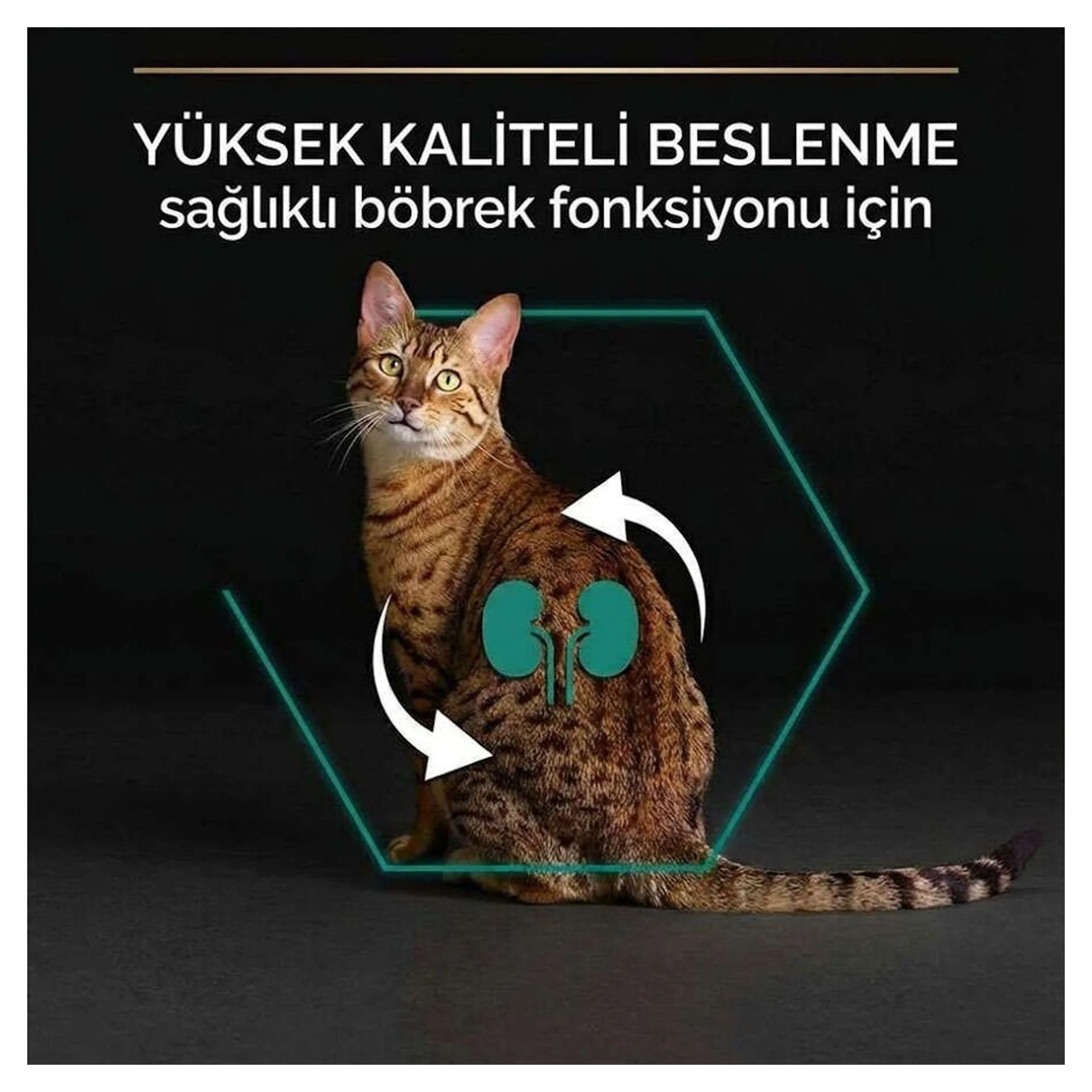 Pro Plan Sterilised Somonlu Kısırlaştırılmış Yetişkin Kedi Maması 1.5 KG — Görsel 2