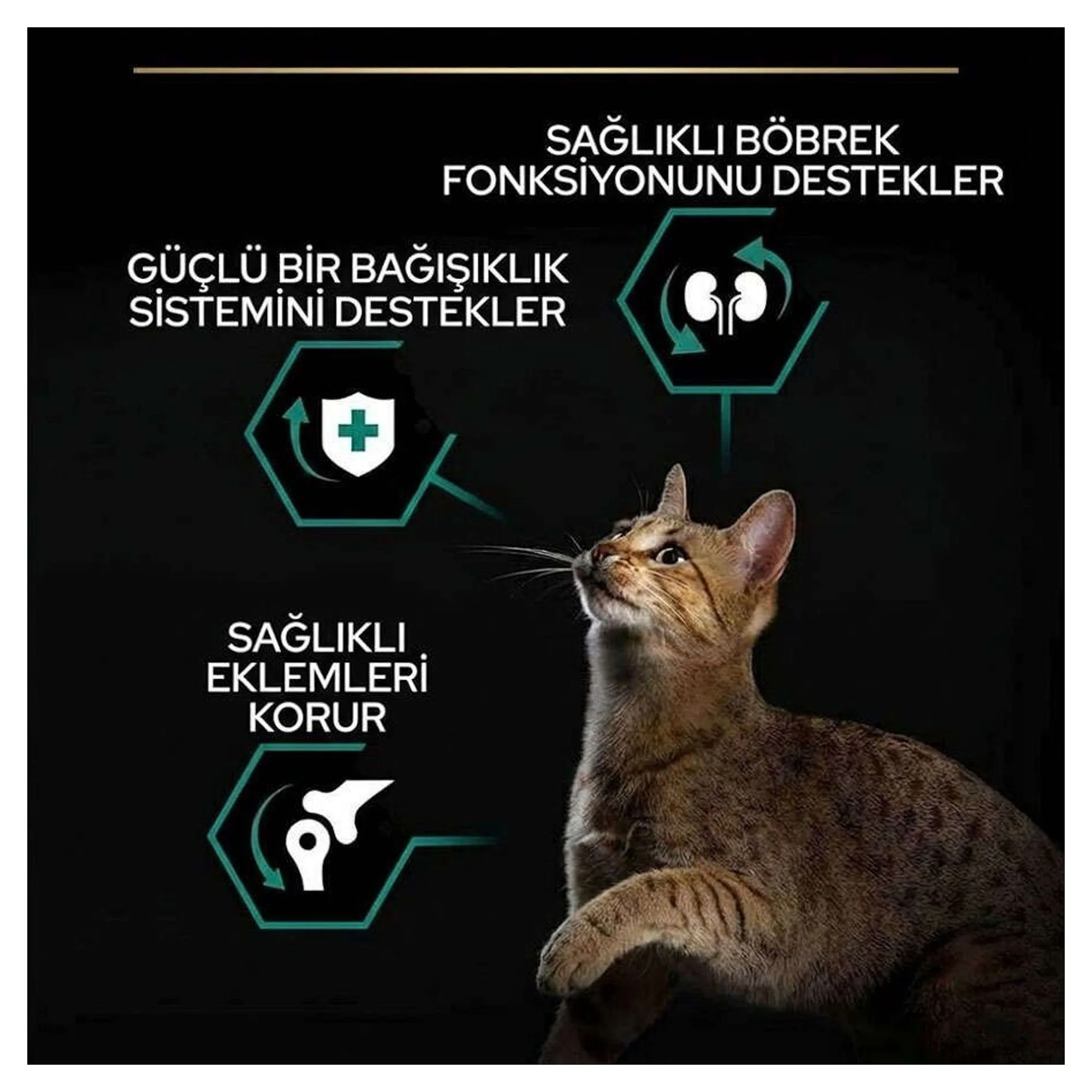 Pro Plan Sterilised Somonlu Kısırlaştırılmış Yetişkin Kedi Maması 1.5 KG — Görsel 3