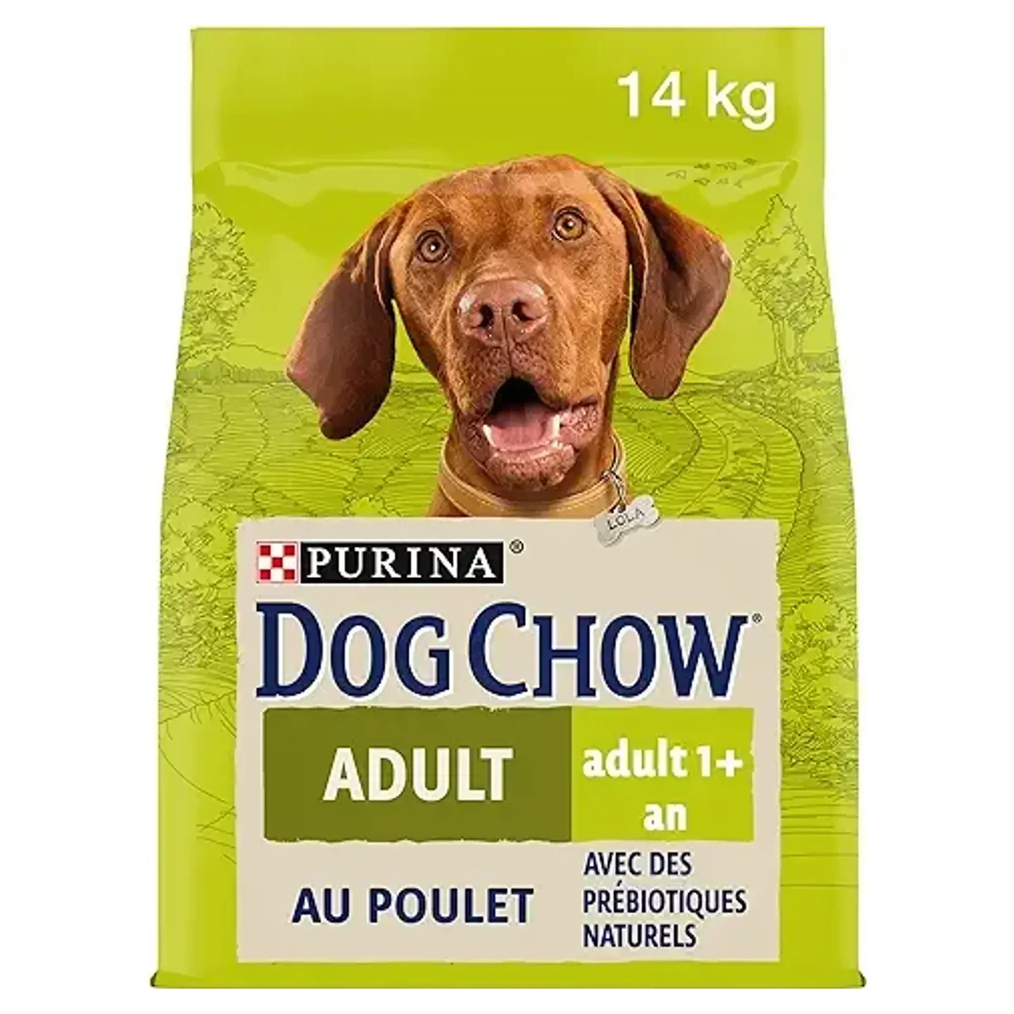 Purina Dog Chow Dog Chow Tavuklu Yetişkin Kuru Köpek Maması 14 KG