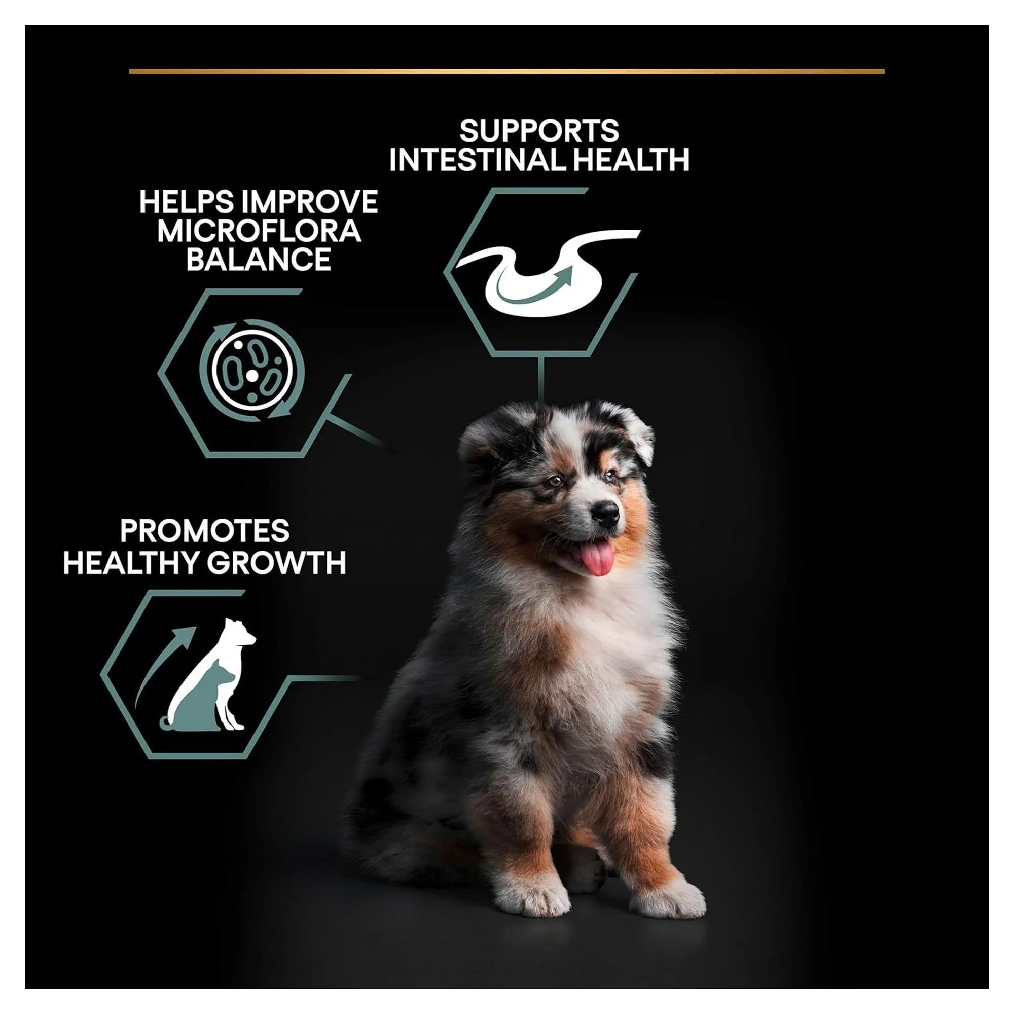 Pro Plan Pro Plan Hassas Sindirim için Orta Irk Yetişkin Köpek Maması 12 KG — 14.1 kg — Görsel 4