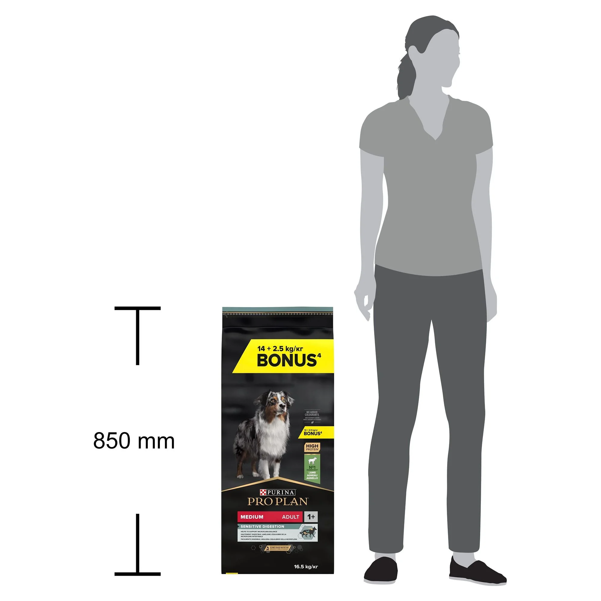 Pro Plan Pro Plan Kuzu Etli  Orta Irk Yetişkin Kuru Köpek Maması 14+2.5 KG — Normal — Görsel 5
