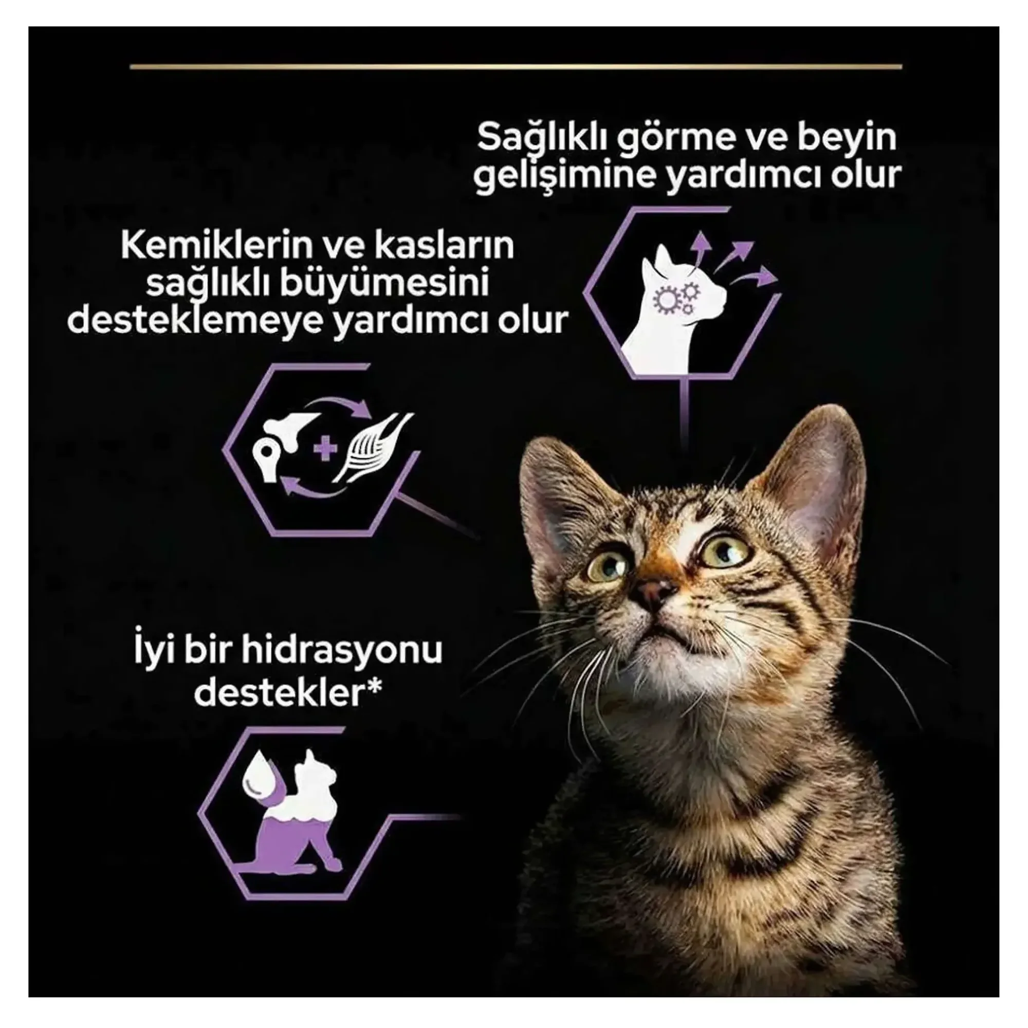 Pro Plan Junior Tavuklu Yavru Kedi Yaş Maması 4x85 G — Normal — Görsel 3