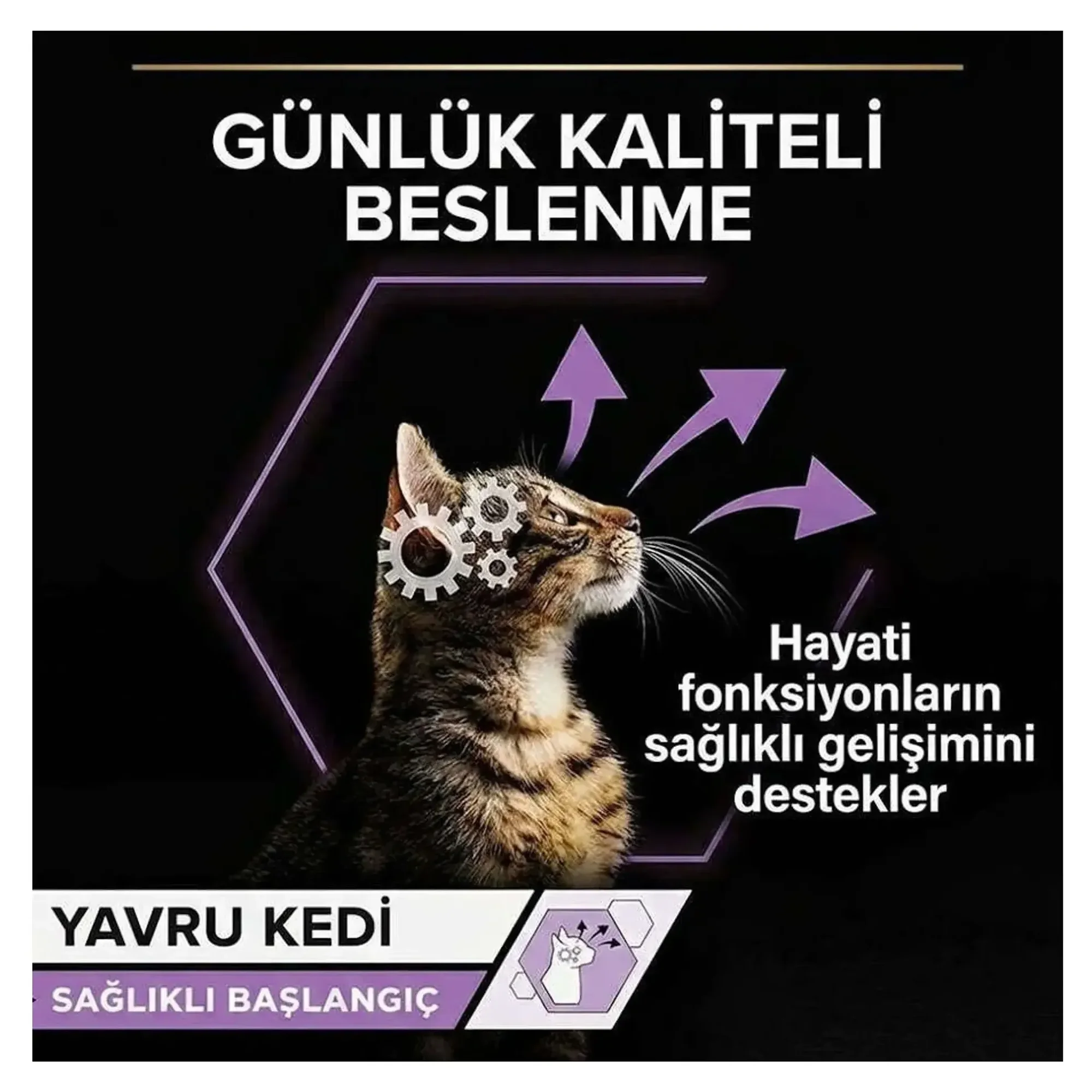 Pro Plan Junior Tavuklu Yavru Kedi Yaş Maması 4x85 G — Normal — Görsel 4
