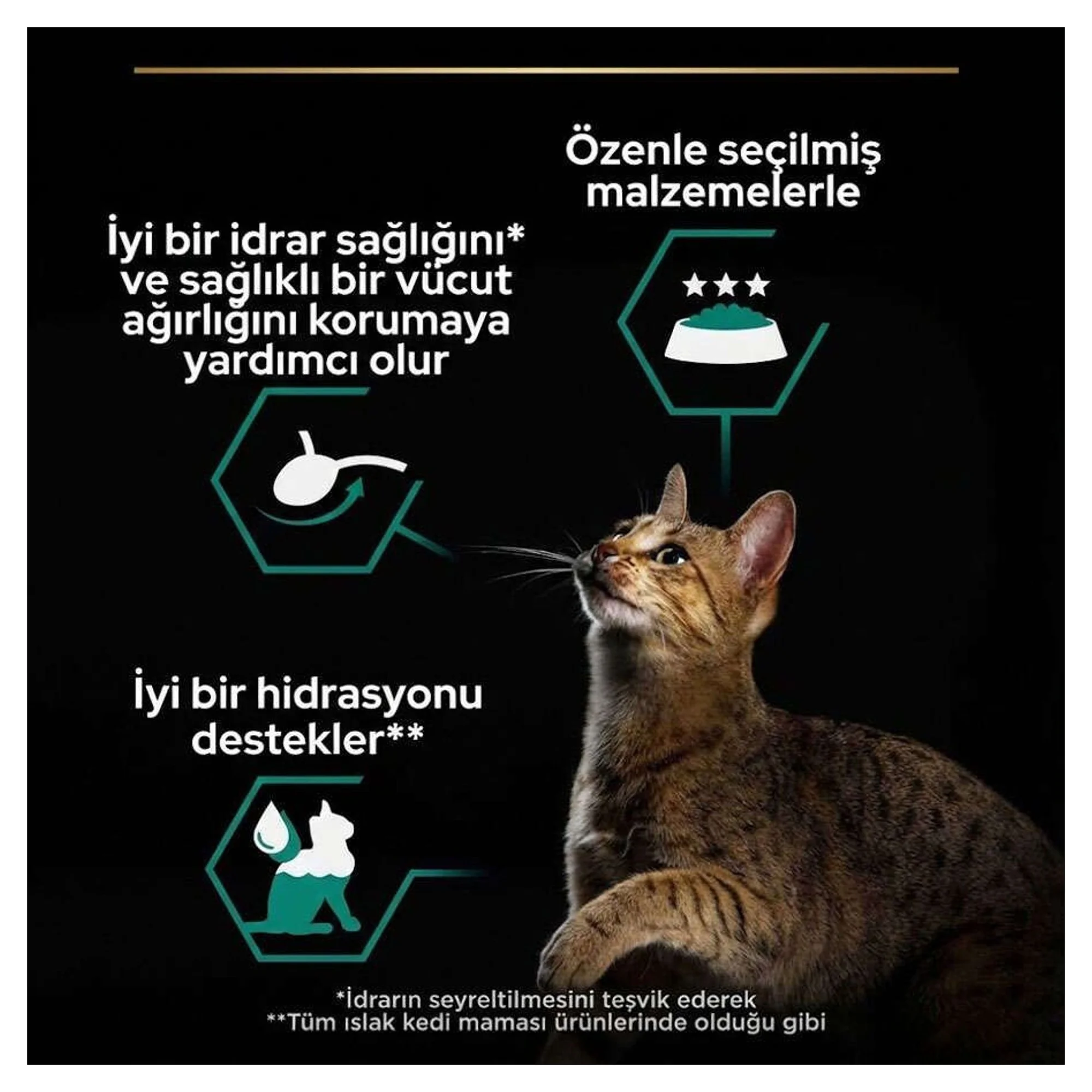 Pro Plan Pro Plan Sterilised Somon ve Ton Balığı Kısırlaştırılmış Yetişkin Kedi Yaş Mama 4x85 G — Normal — Görsel 3