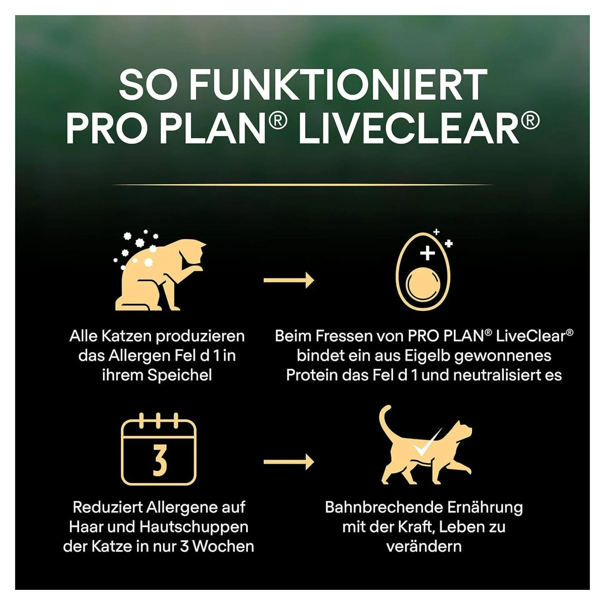 Pro Plan Pro Plan LiveClear Hindili Yavru Kedi Maması 1.4 KG — Normal, 1.4 kg — Görsel 5