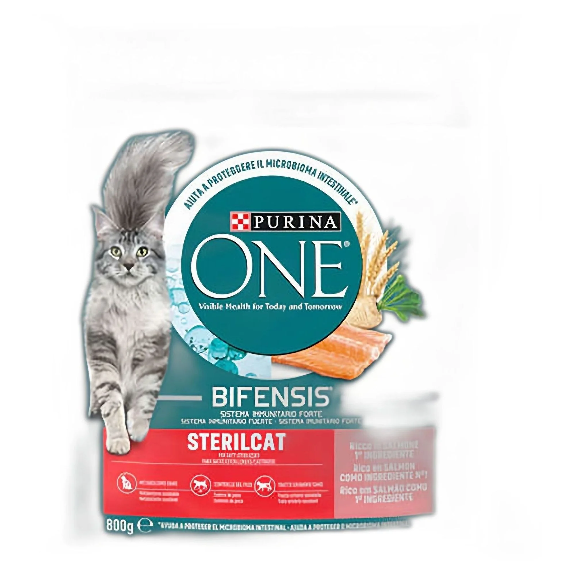 Purina Purina One Sterilcat Somon ve Buğdaylı Kısırlaştırılmış Yetişkin Kedi Maması 800 G