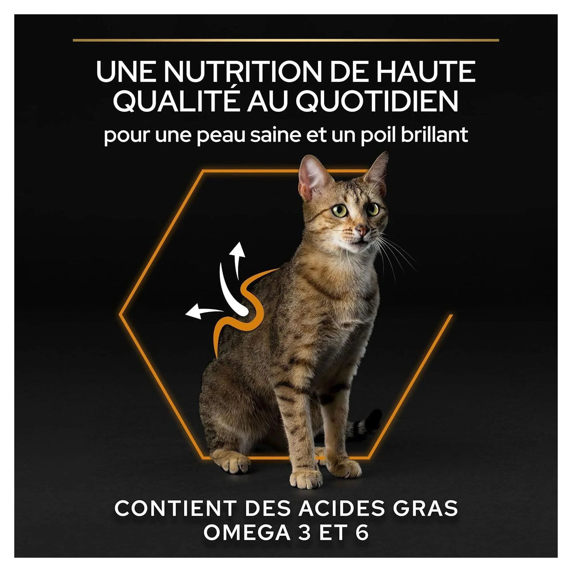 Pro Plan Pro Plan Derma Care Somonlu Yetişkin Kedi Maması 1.5 KG — Normal, 1.6 kg — Görsel 3