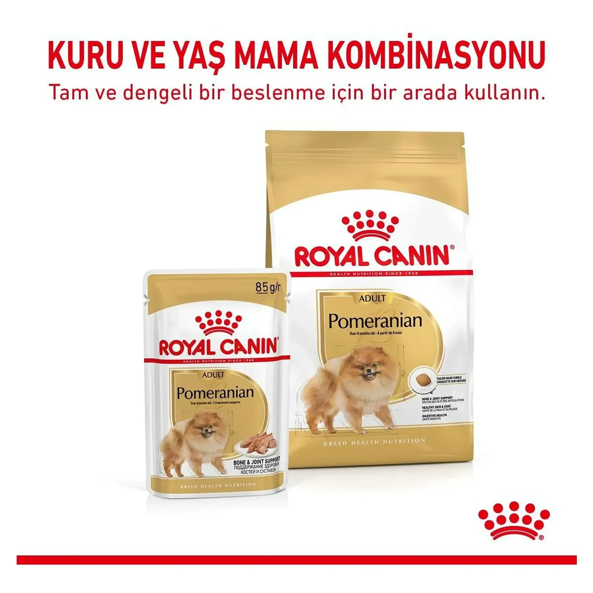Royal Canin Royal Canin Pomeranian Yetişkin Köpek Maması 3 KG — Normal, 3.1 kg — Görsel 4