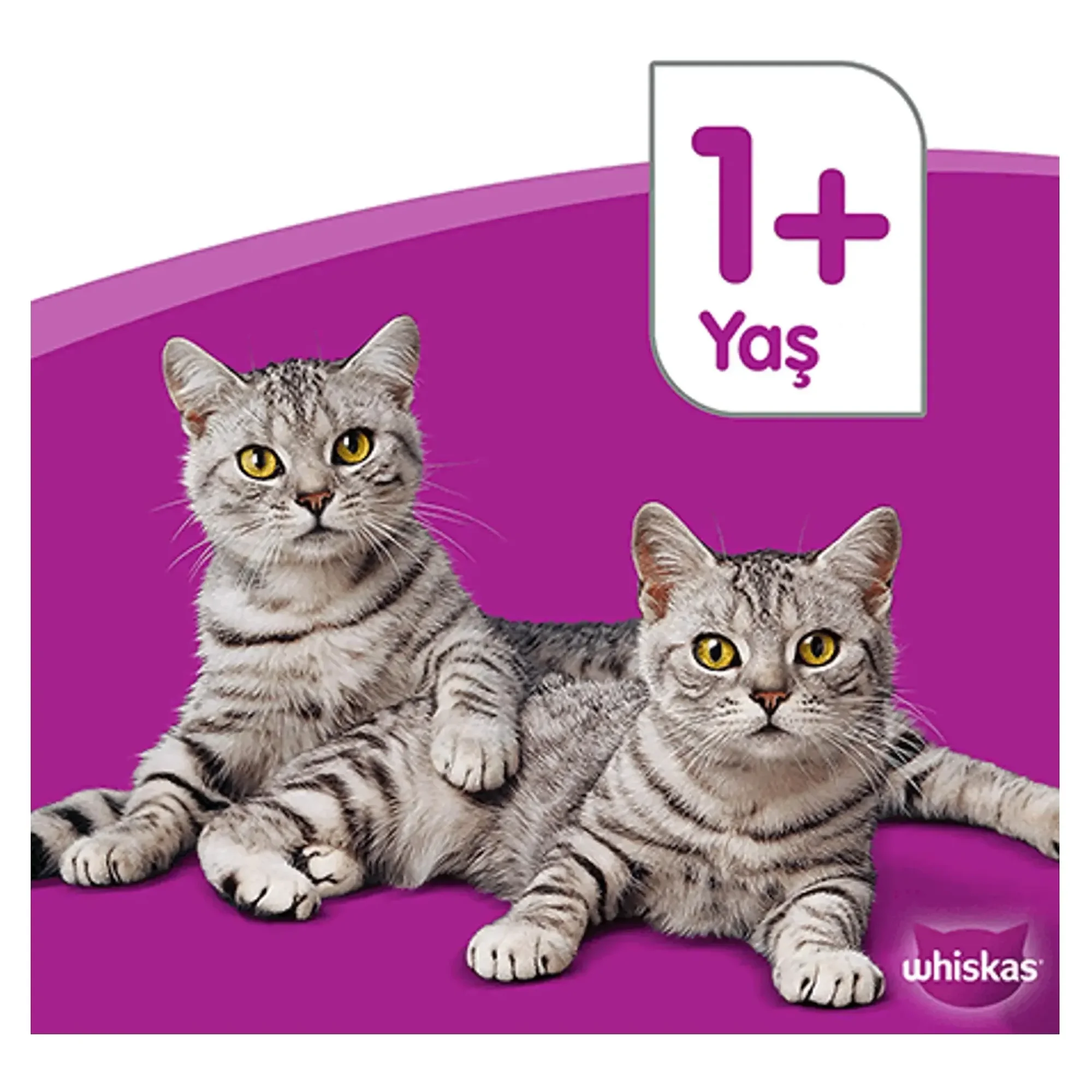 Whiskas Ton Balıklı ve Sebzeli Yetişkin Kedi Maması 14 KG — Normal, 14.2 kg — Görsel 4