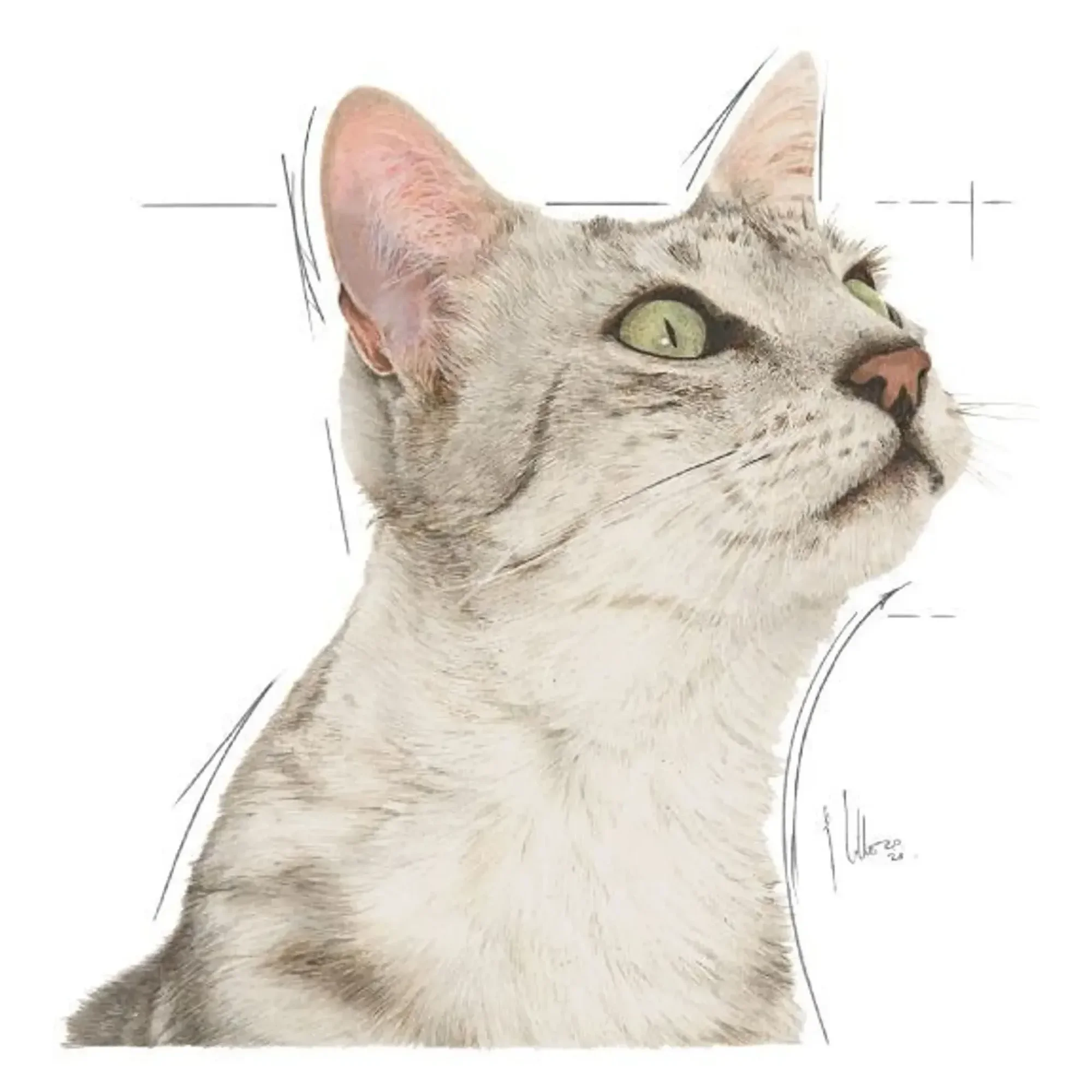 Royal Canin Royal Canin Sensory Smell Etli ve Balıklı Soslu Yetişkin Kedi Konservesi 85 G — Normal, 90 g — Görsel 3