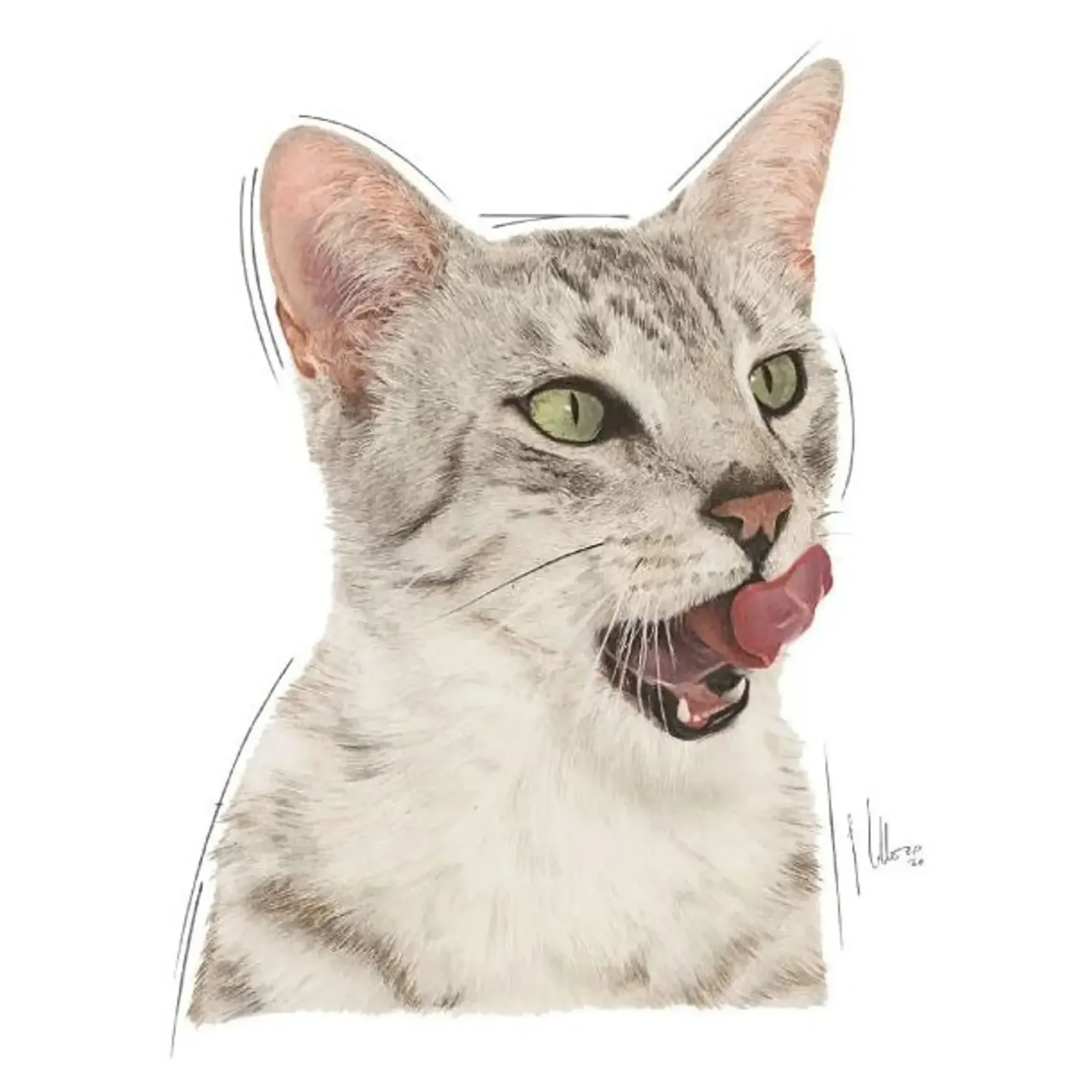 Royal Canin Royal Canin Sensory Taste Etli Soslu Kedi Konservesi 85 G — Normal, 90 g — Görsel 3
