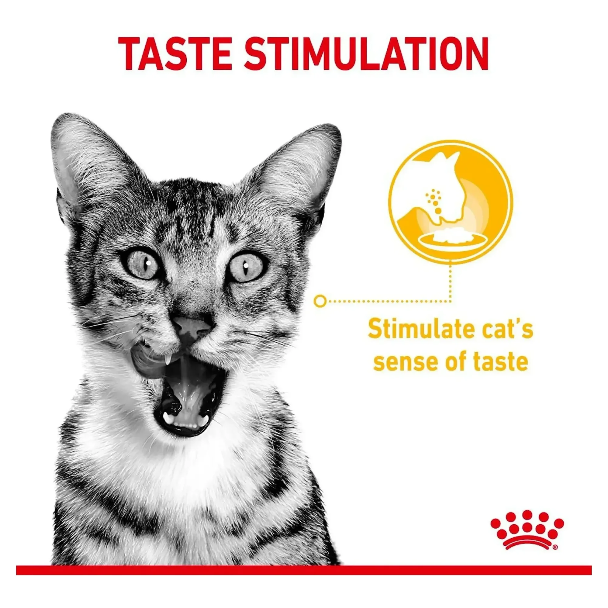 Royal Canin Royal Canin Sensory Taste Etli Soslu Kedi Konservesi 85 G — Normal, 90 g — Görsel 4
